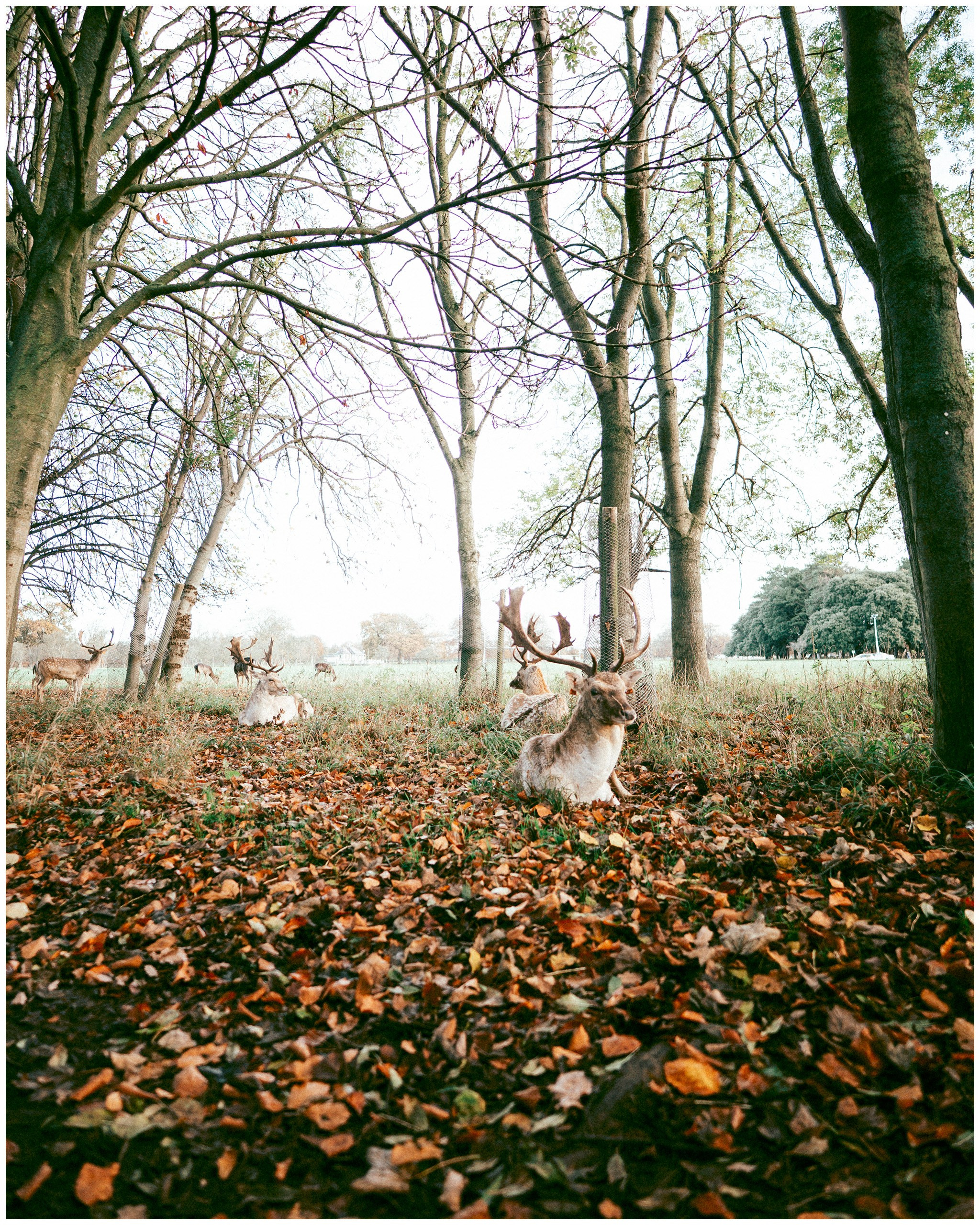 IRELAND. Inna Mendelson — Photographer