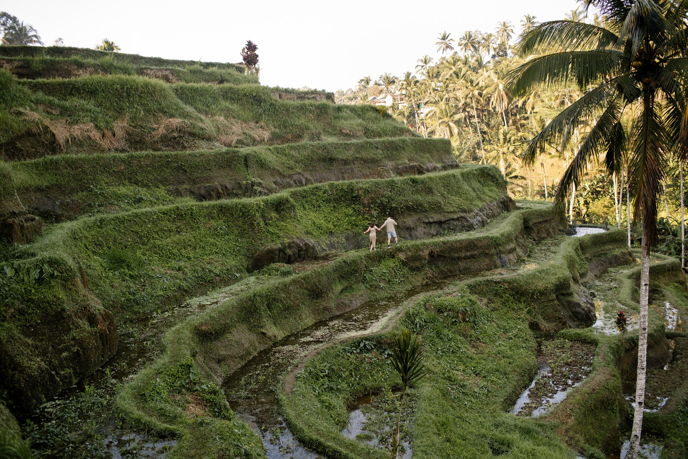 Rice Terraces. Getitfeel — Aesthetic Photography and Videography