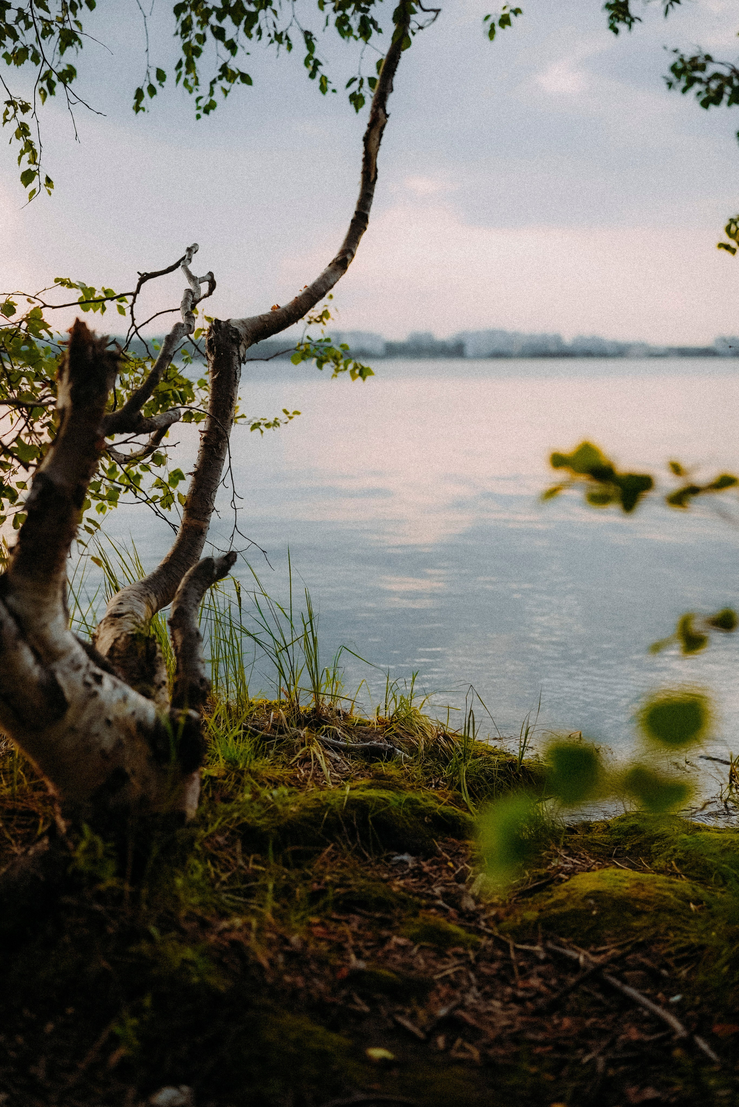 2025. Стрит-фотография, полная абсурда, идиотизма и красоты