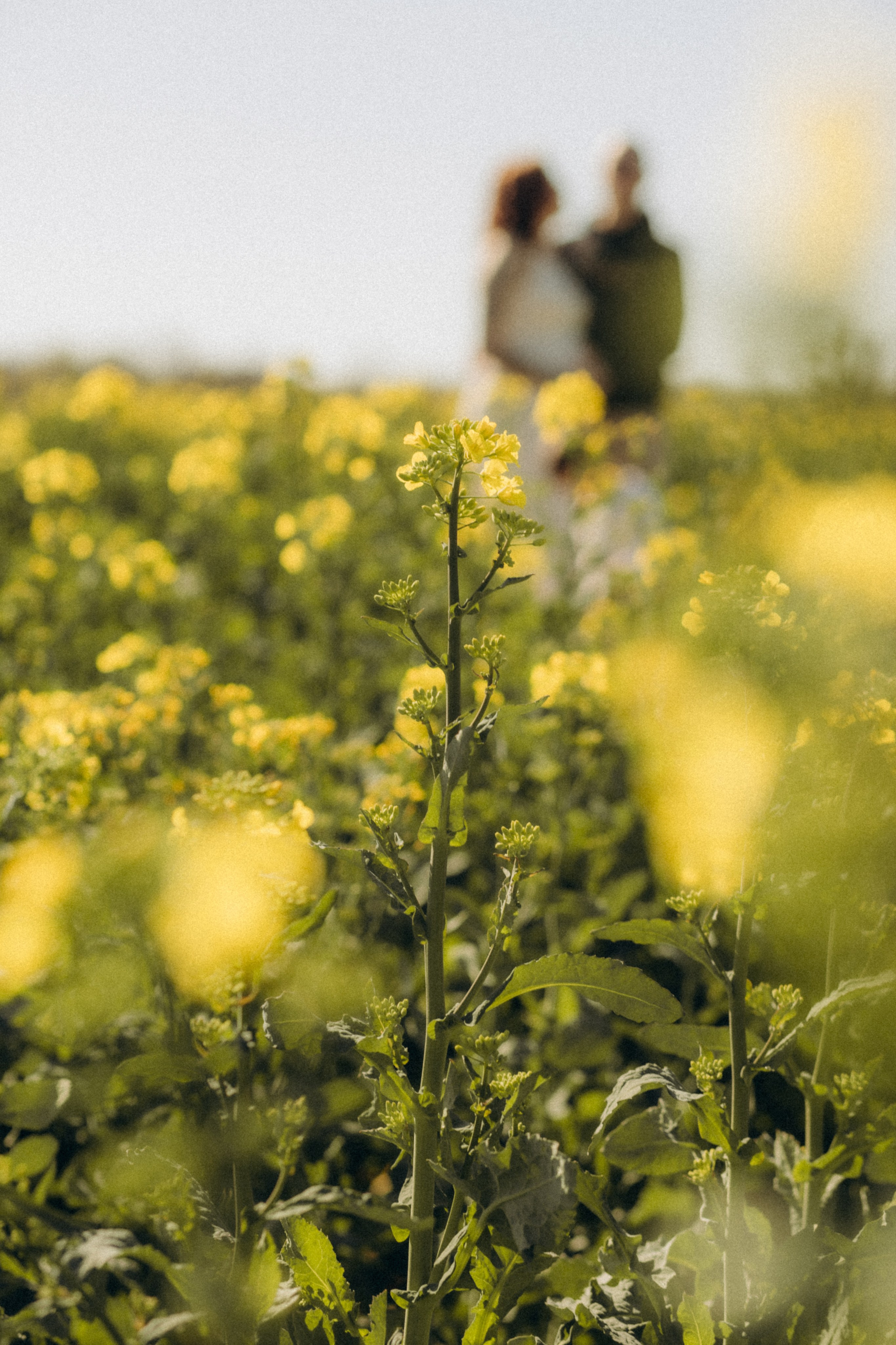GROSSESSE. Семейный фотограф во Франции (Мец, Люксембург)