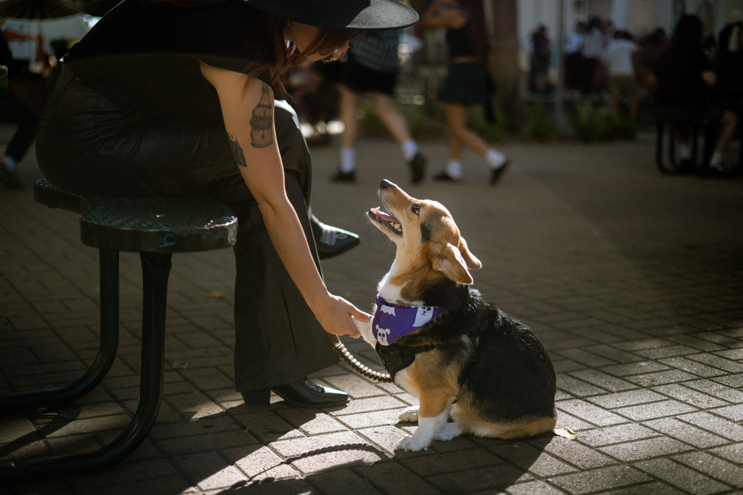 Paws & Portraits. Photographer in Los Angeles. Julia Ishmuratova