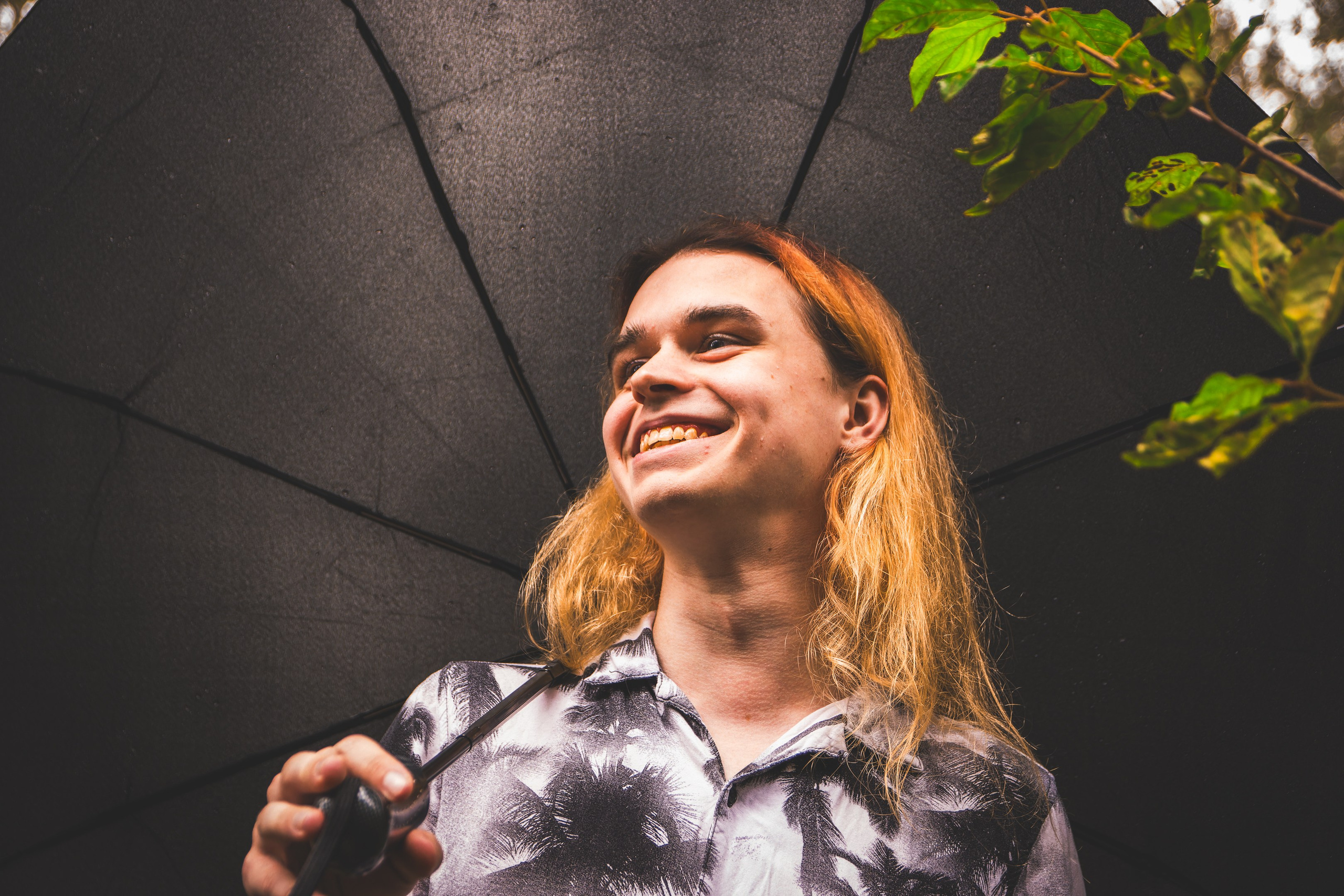 Mets, vihm ja jahedus (Dimitry). Nebula 25 — Fotod teie hingele