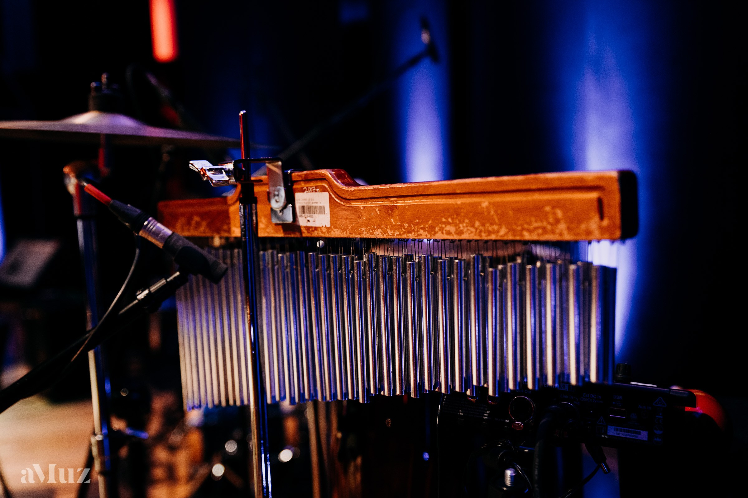 Koncert Jazzowy amuz. Fotograf Ślubny Warszawa - Sesje Biznesowe Rodzinne Eventy