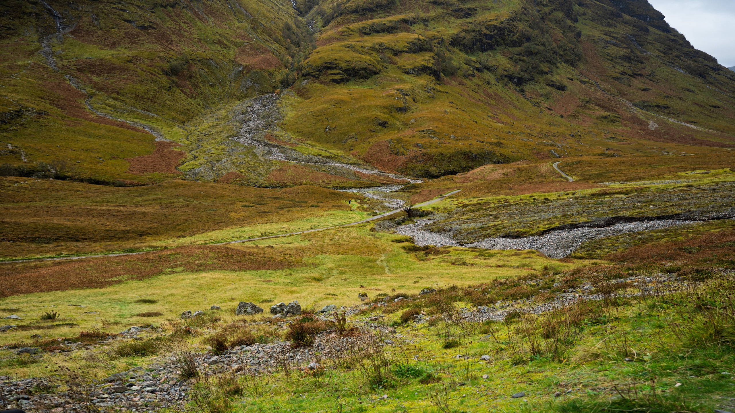 UK 2025. Couple and Family Photographer in Tallinn, Sasha Kaloshin