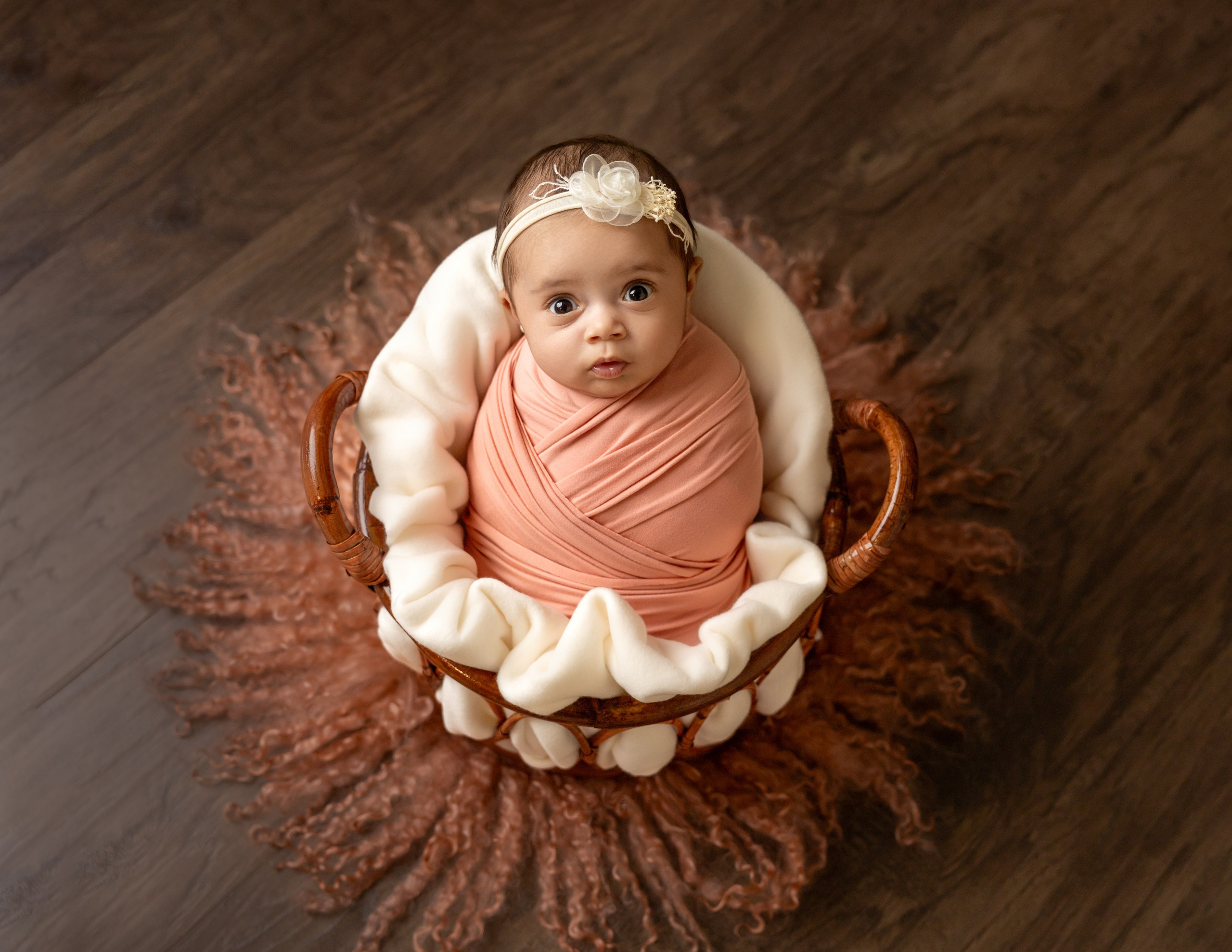 Newborn photos. Newborn photographer in Tampa Bay Area, FL