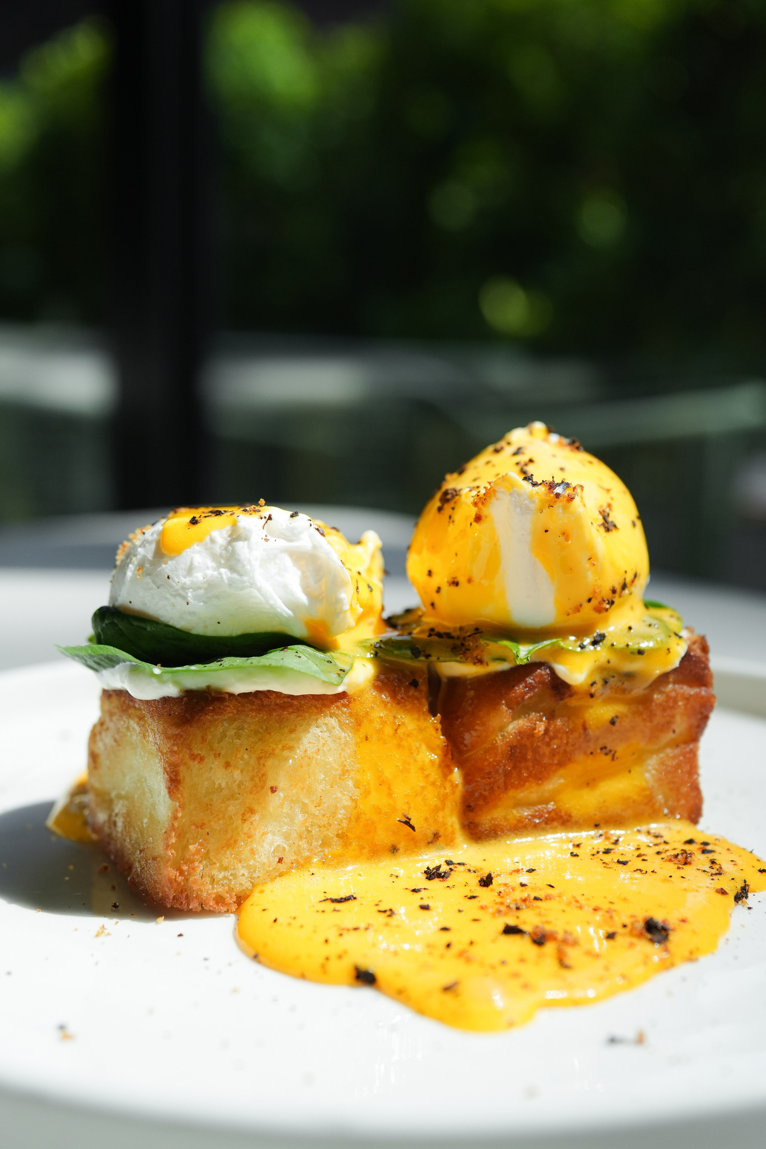 45Cafe. Family and personal photographer in Dubai