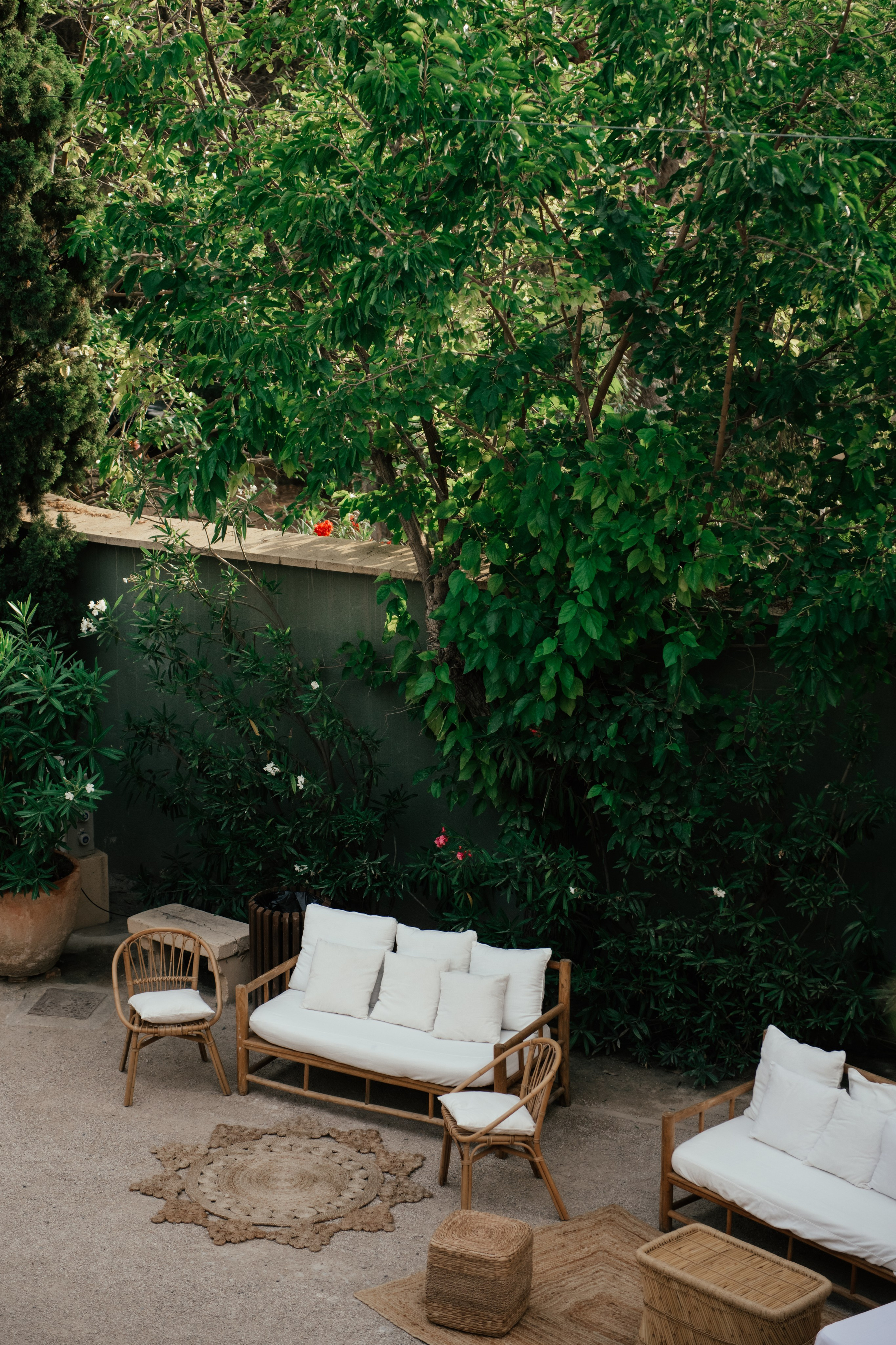 Alicia & Marc (Finca Marques de Montemolar)