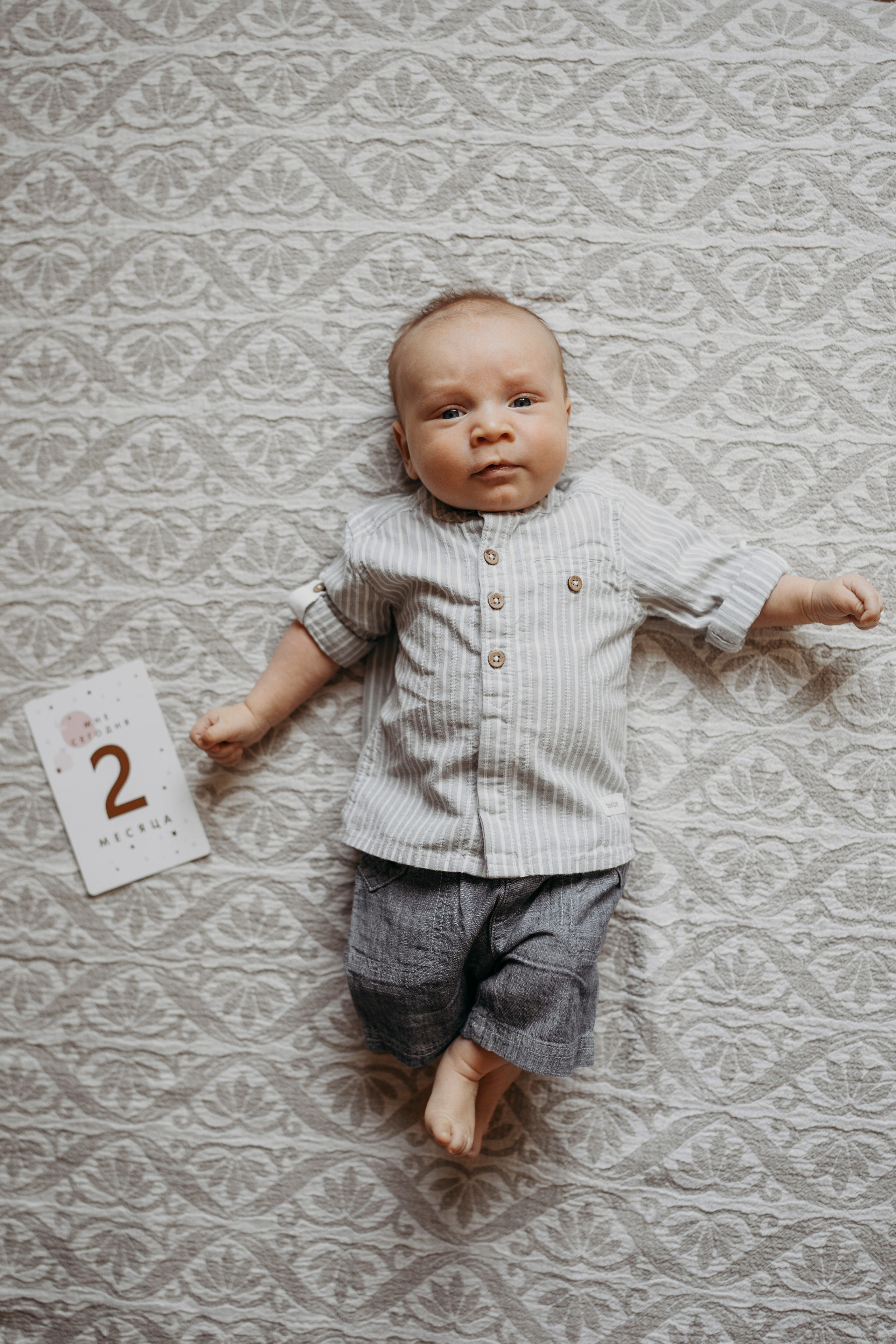 2 месяца. Фотограф новорожденных и детей первого года Евгения Михалькевич