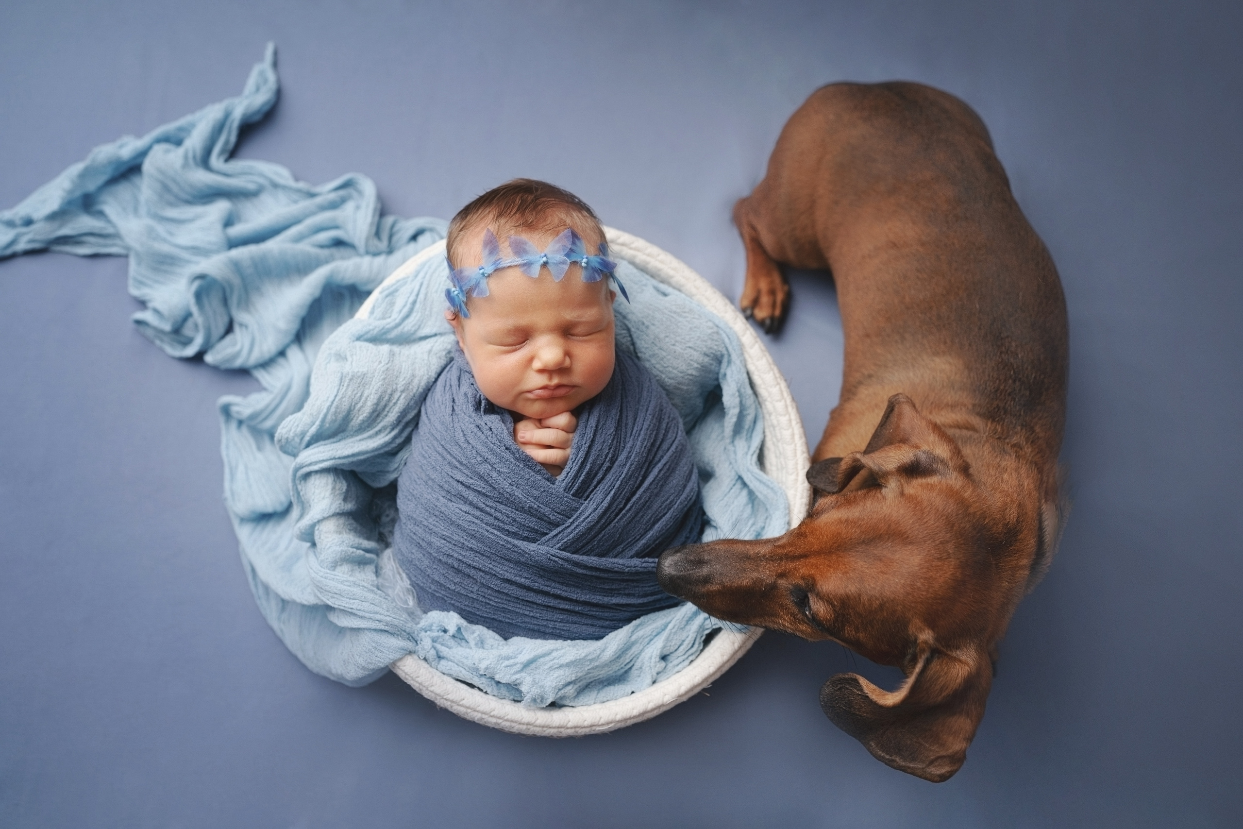 Ева. Фотограф новорожденных и детей первого года Евгения Михалькевич