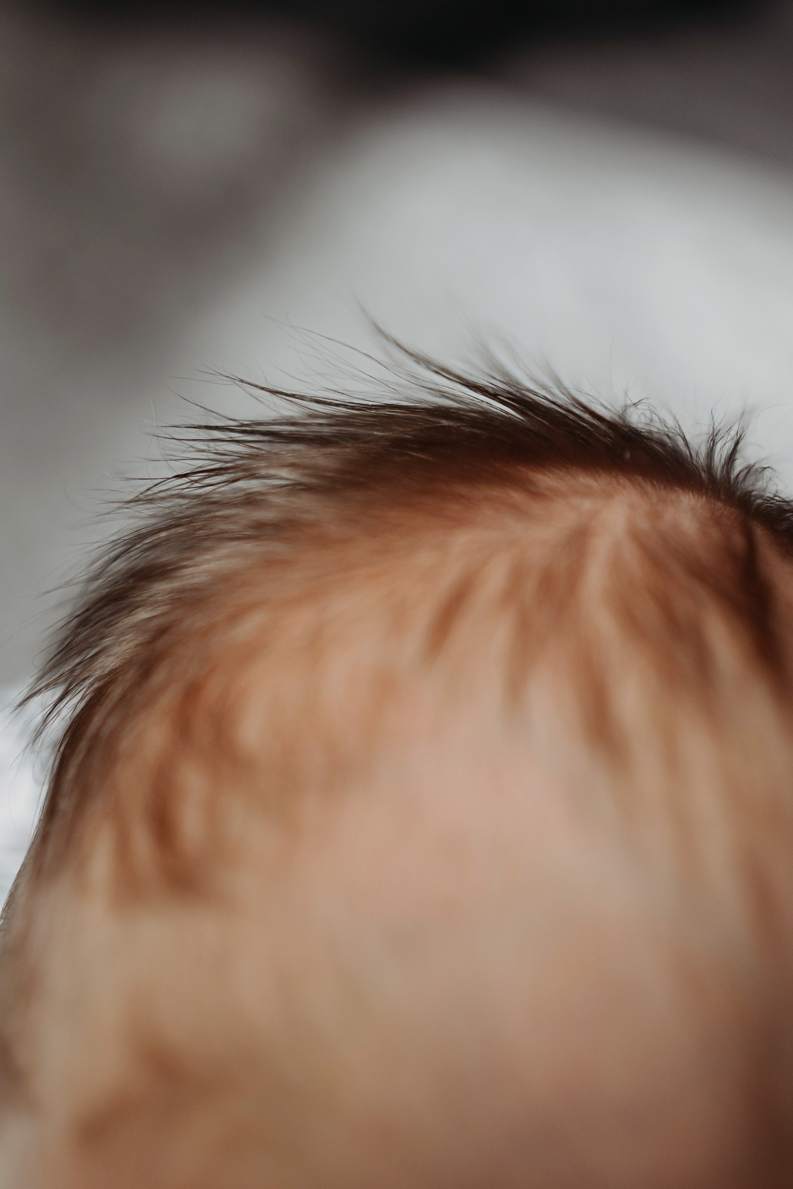 12 месяцев. Фотограф новорожденных и детей первого года Евгения Михалькевич