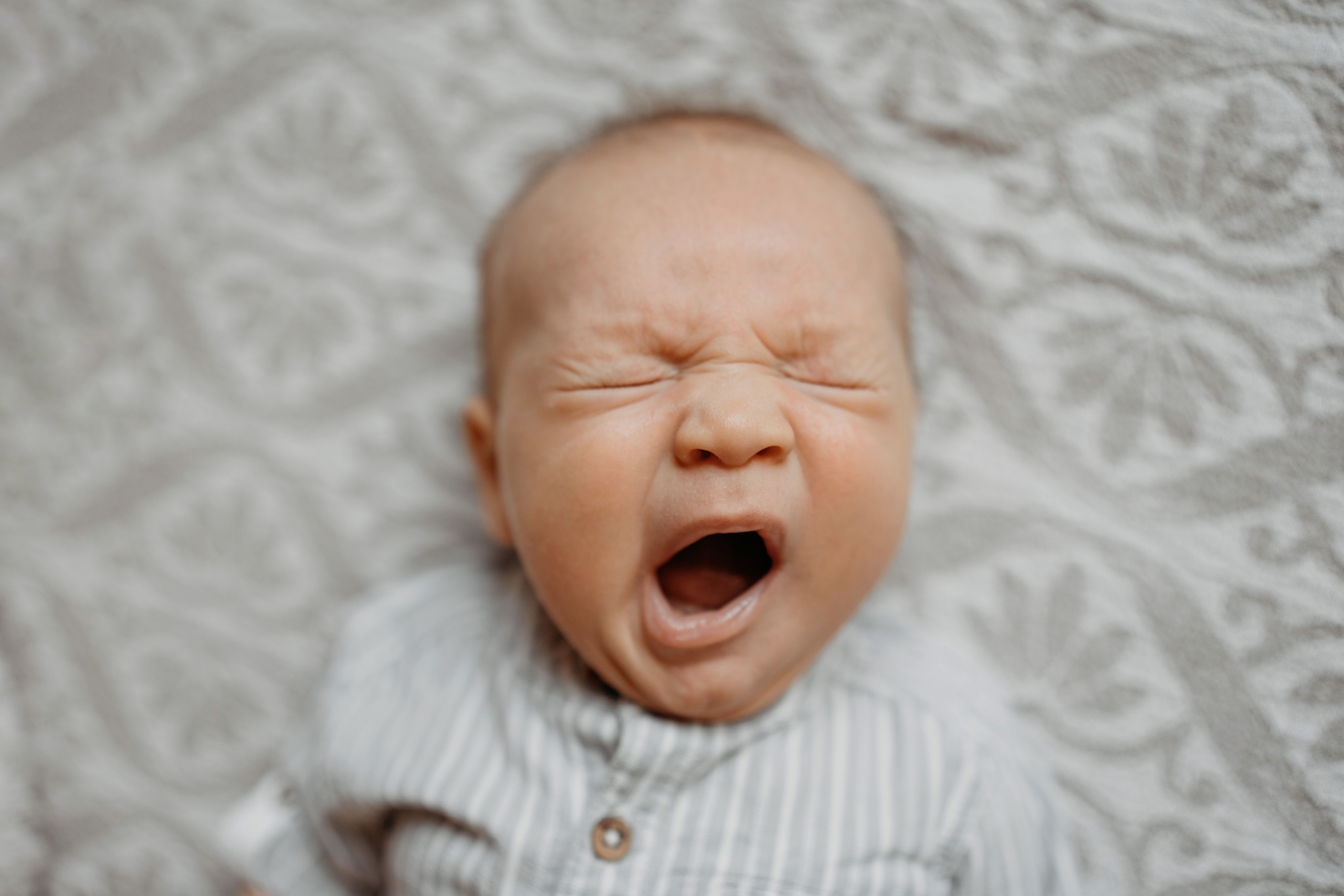 2 месяца. Фотограф новорожденных и детей первого года Евгения Михалькевич