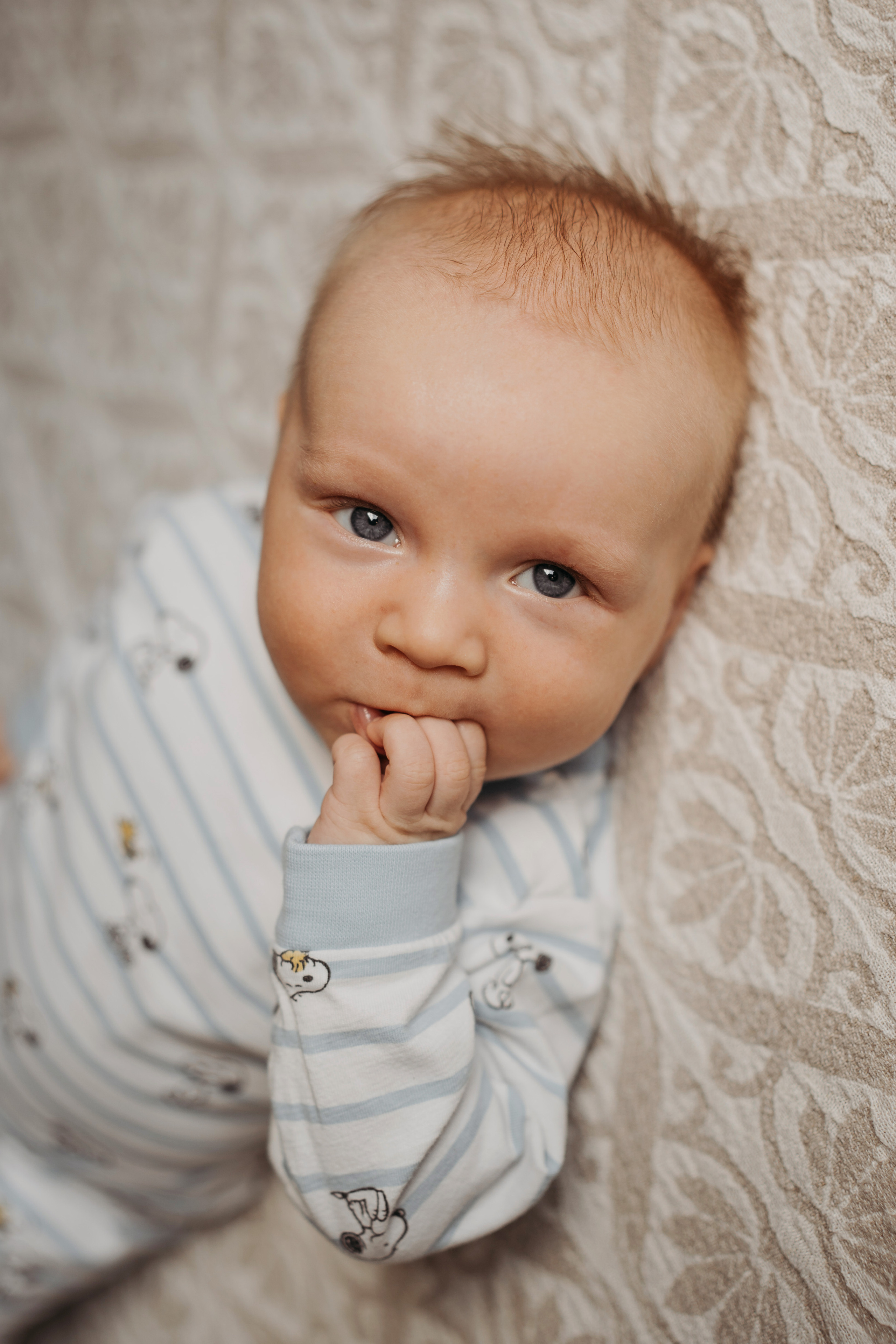 3 месяца. Фотограф новорожденных и детей первого года Евгения Михалькевич