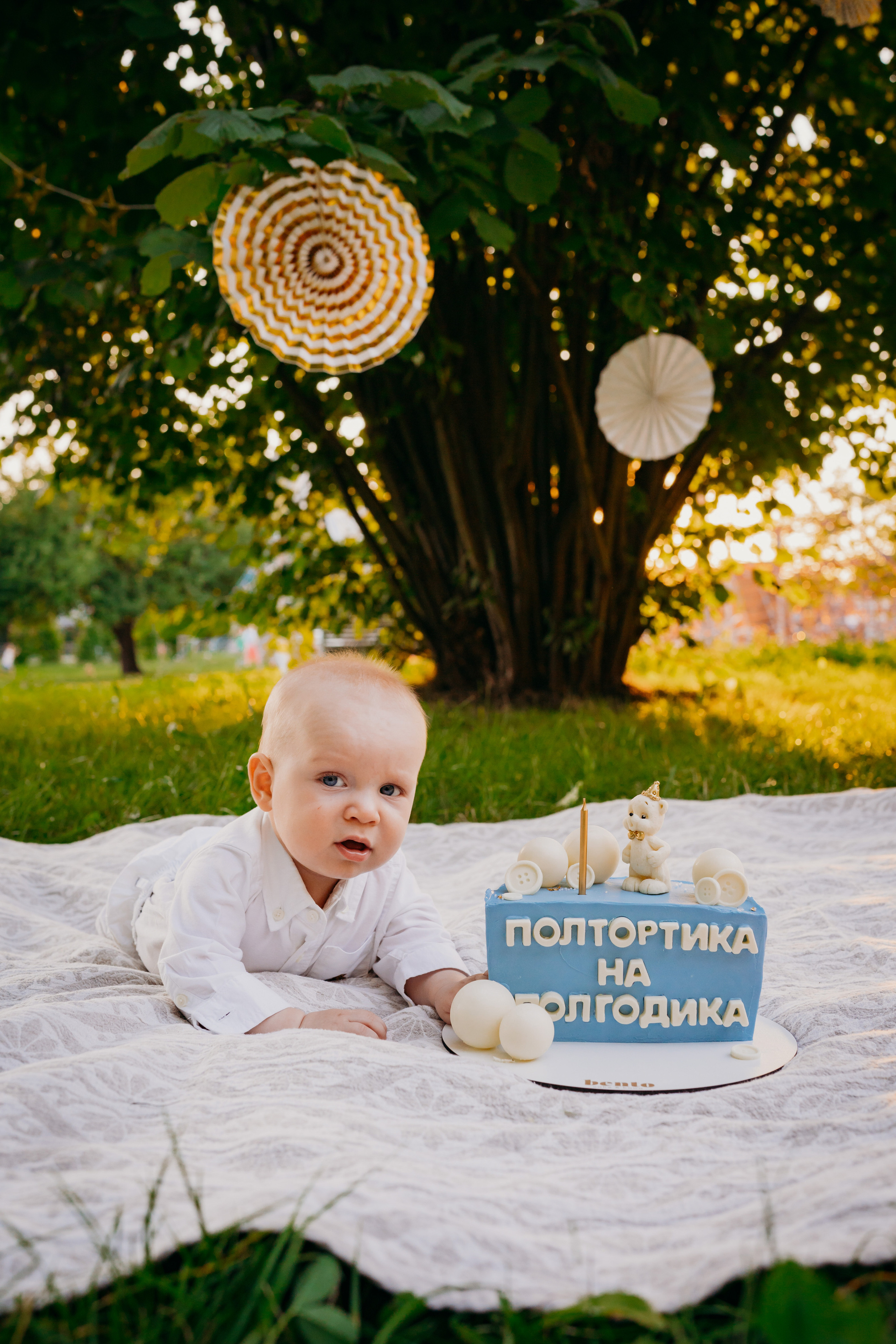 6 месяцев. Фотограф новорожденных и детей первого года Евгения Михалькевич