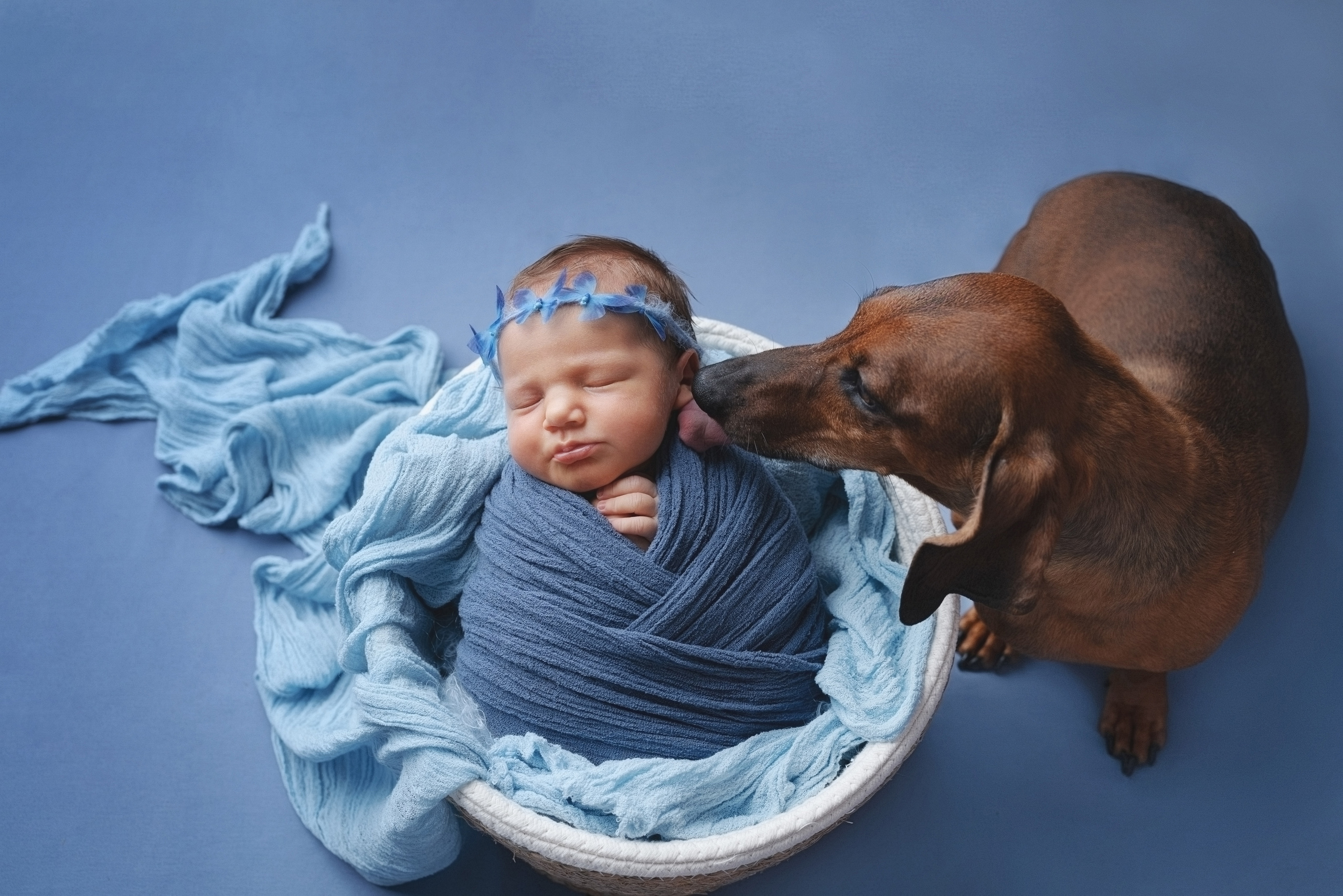 Ева. Фотограф новорожденных и детей первого года Евгения Михалькевич