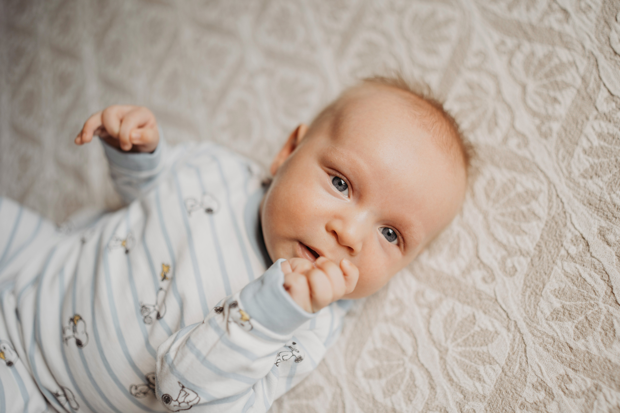 3 месяца. Фотограф новорожденных и детей первого года Евгения Михалькевич