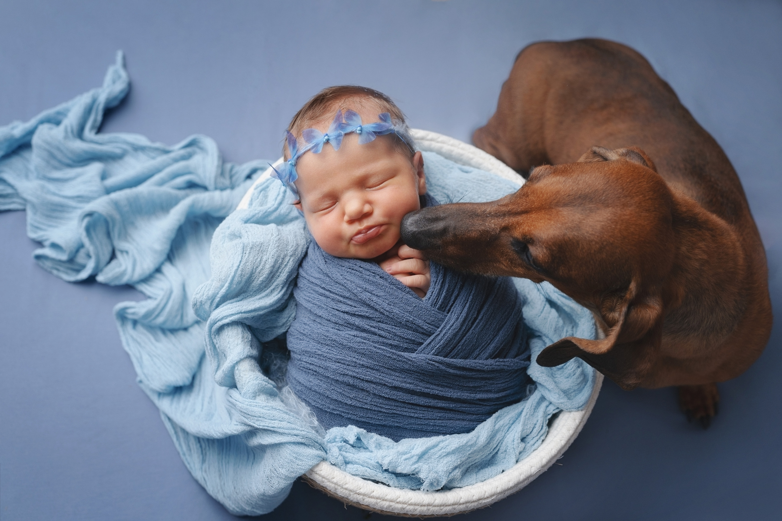 Ева. Фотограф новорожденных и детей первого года Евгения Михалькевич