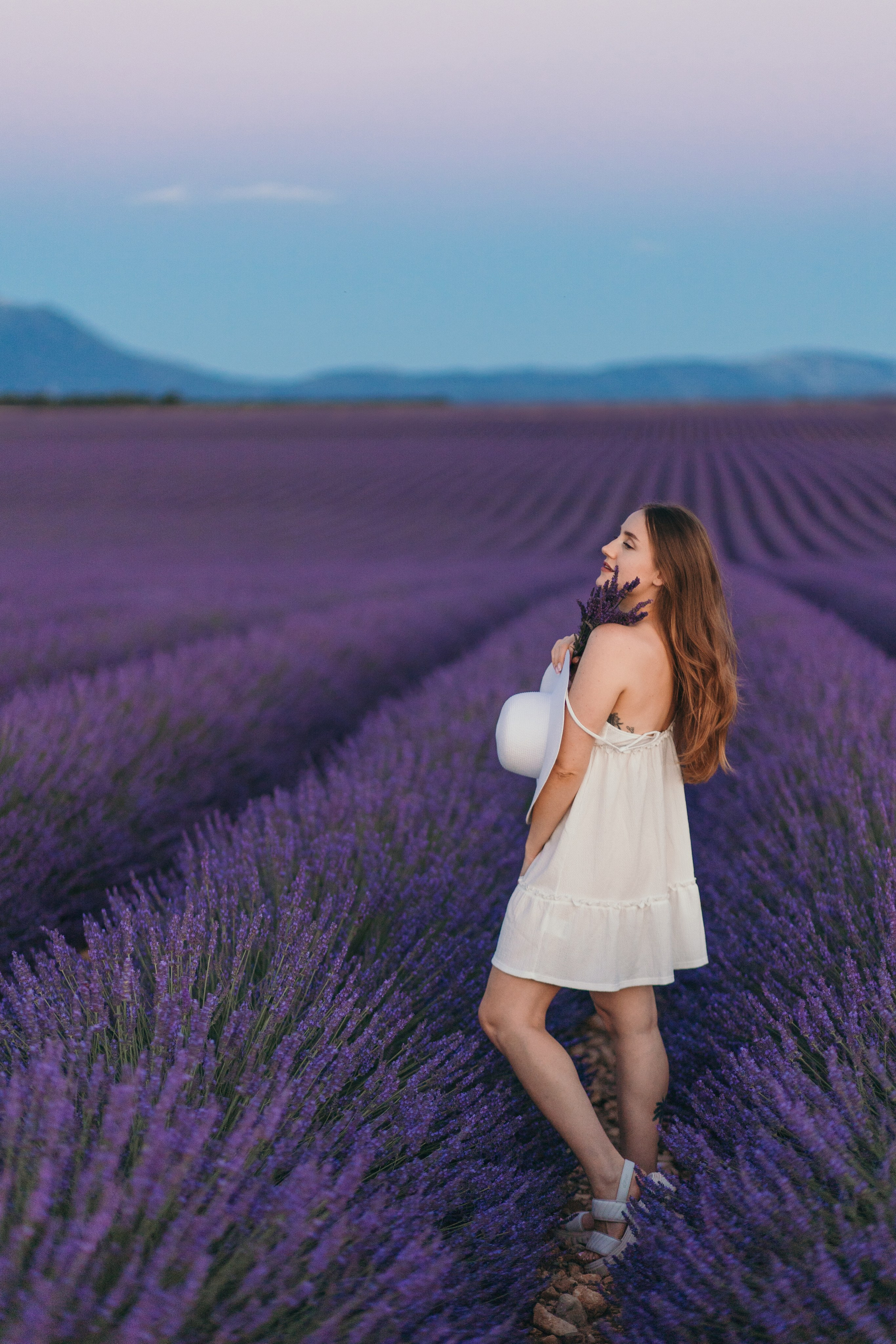 Lavendel. Kristina Podolyakova - Fotografin in Ludwigsburg