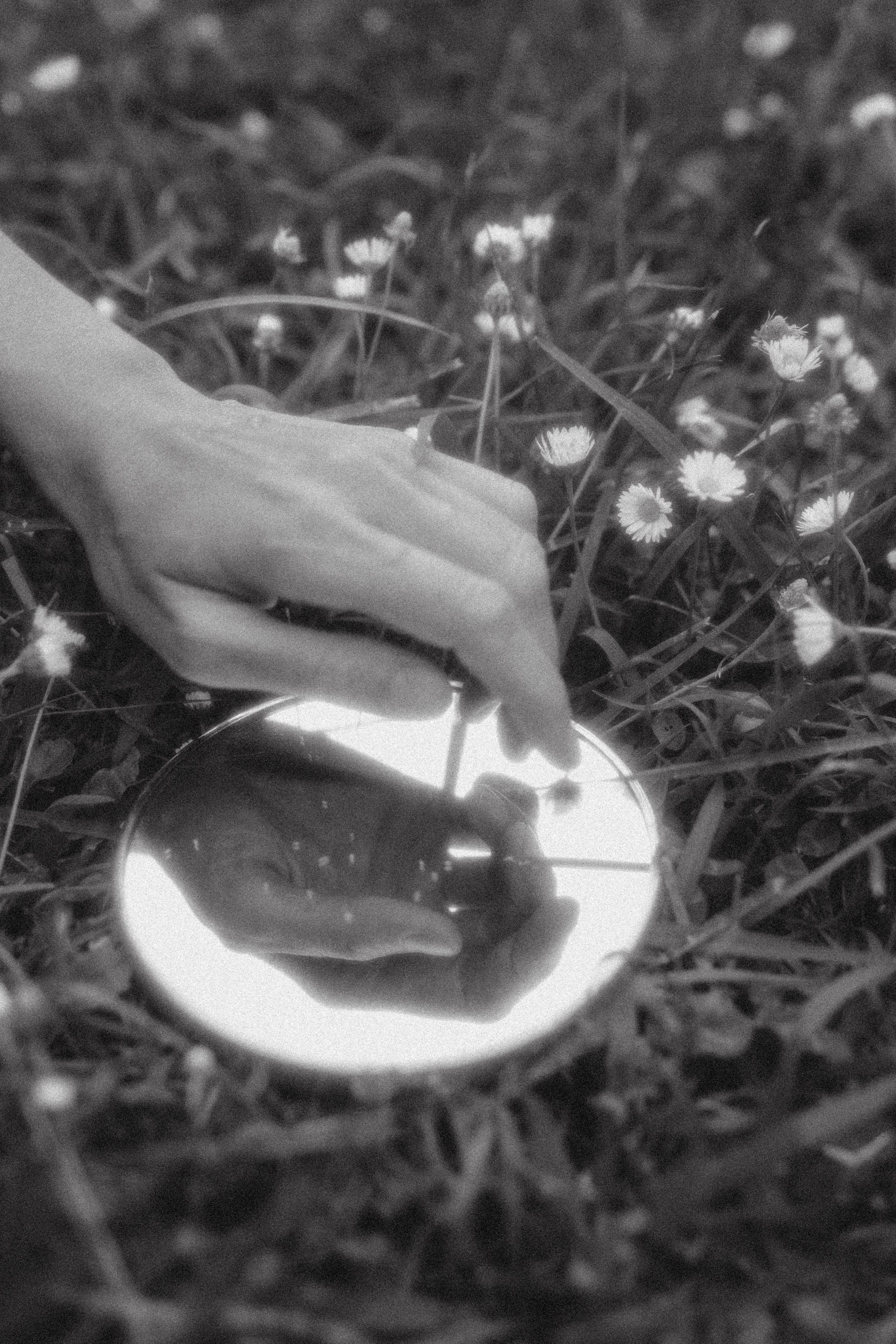 Катя с лилией. Фотограф Мила Ромашкина