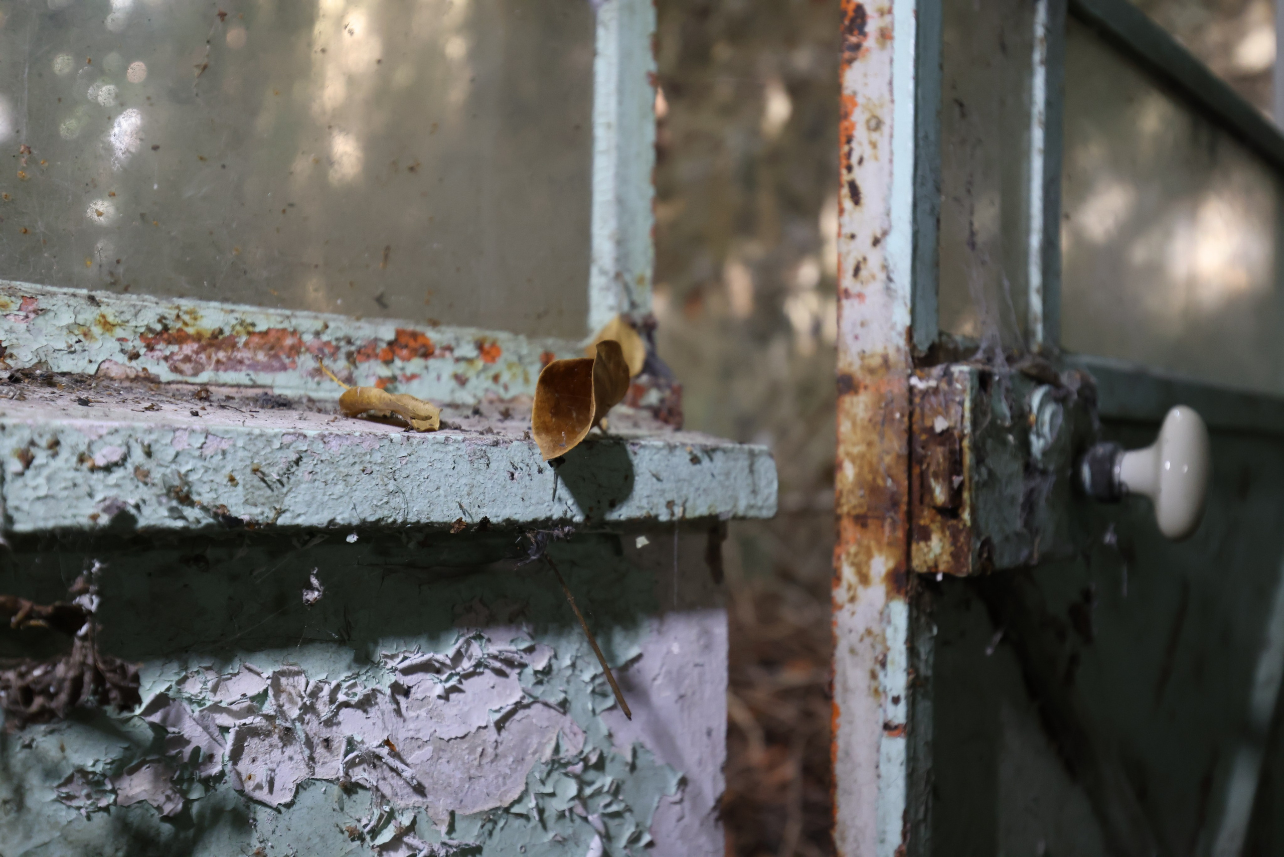 MAISON AU BOIS DORMANT. Natalia Bogdanovska. Films et photographie corporate en France