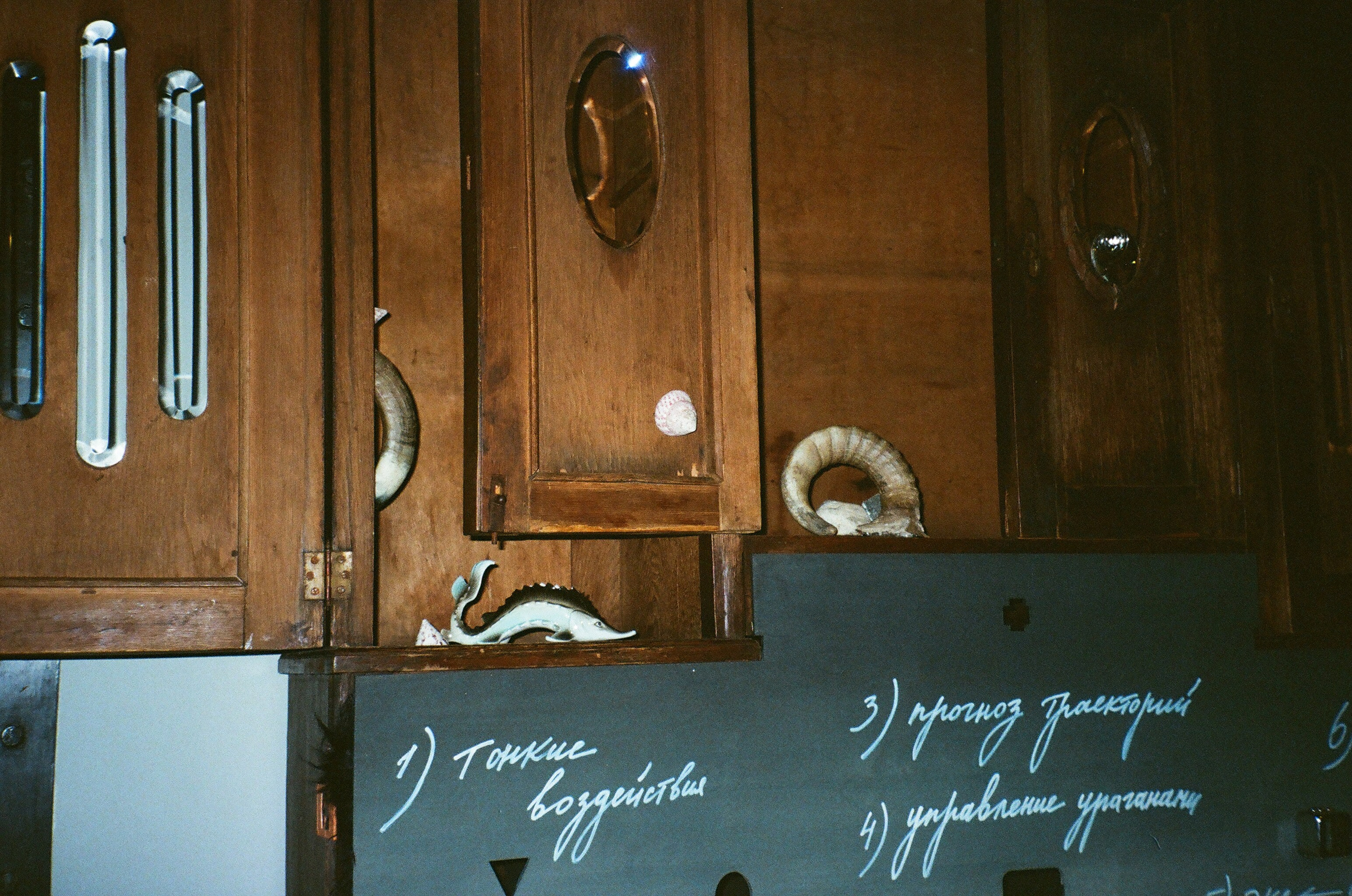 Spira mirabilis| Удивительная спираль. Alina Kugush