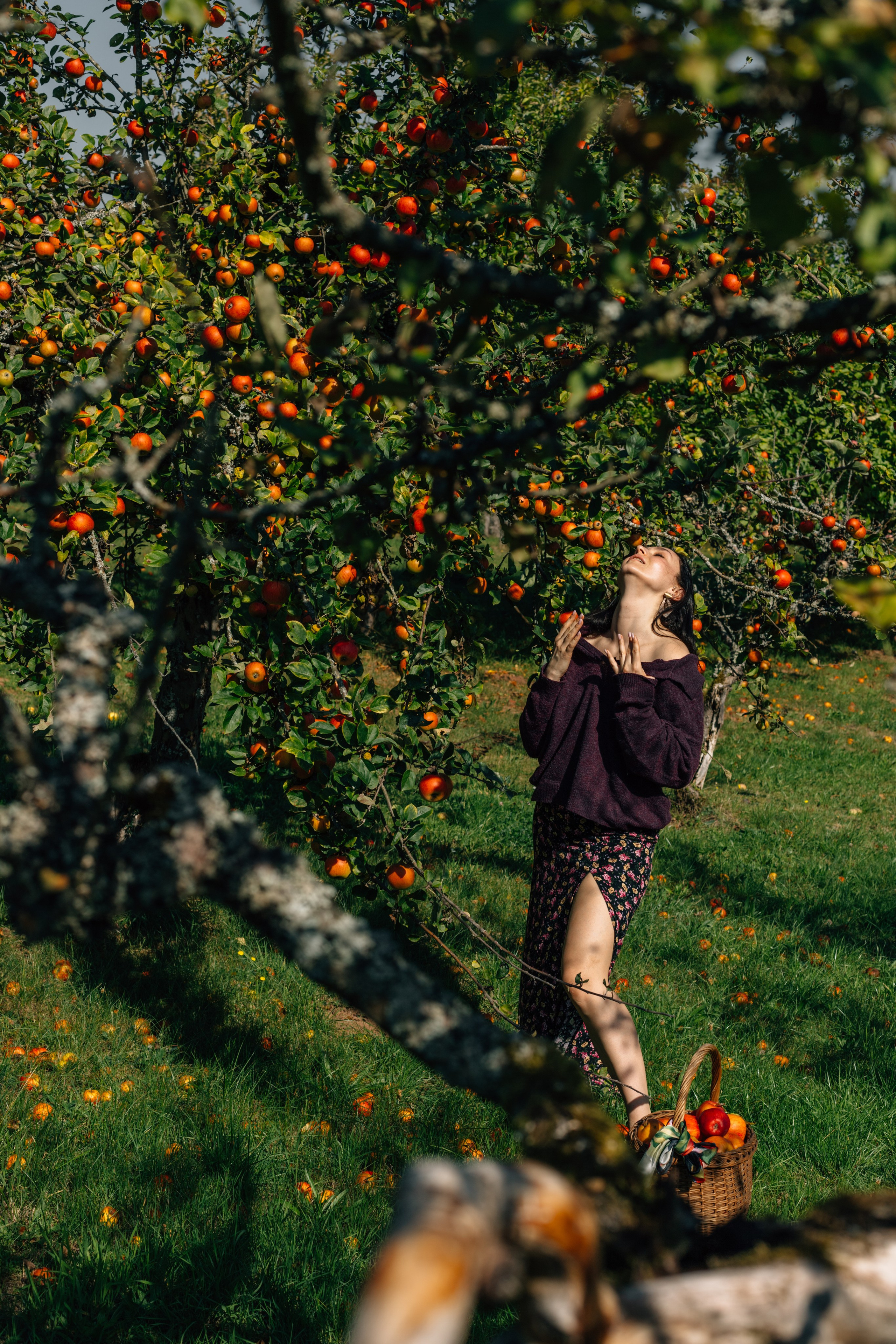 In Garten. PHOTOgrapher Germany MARBURG