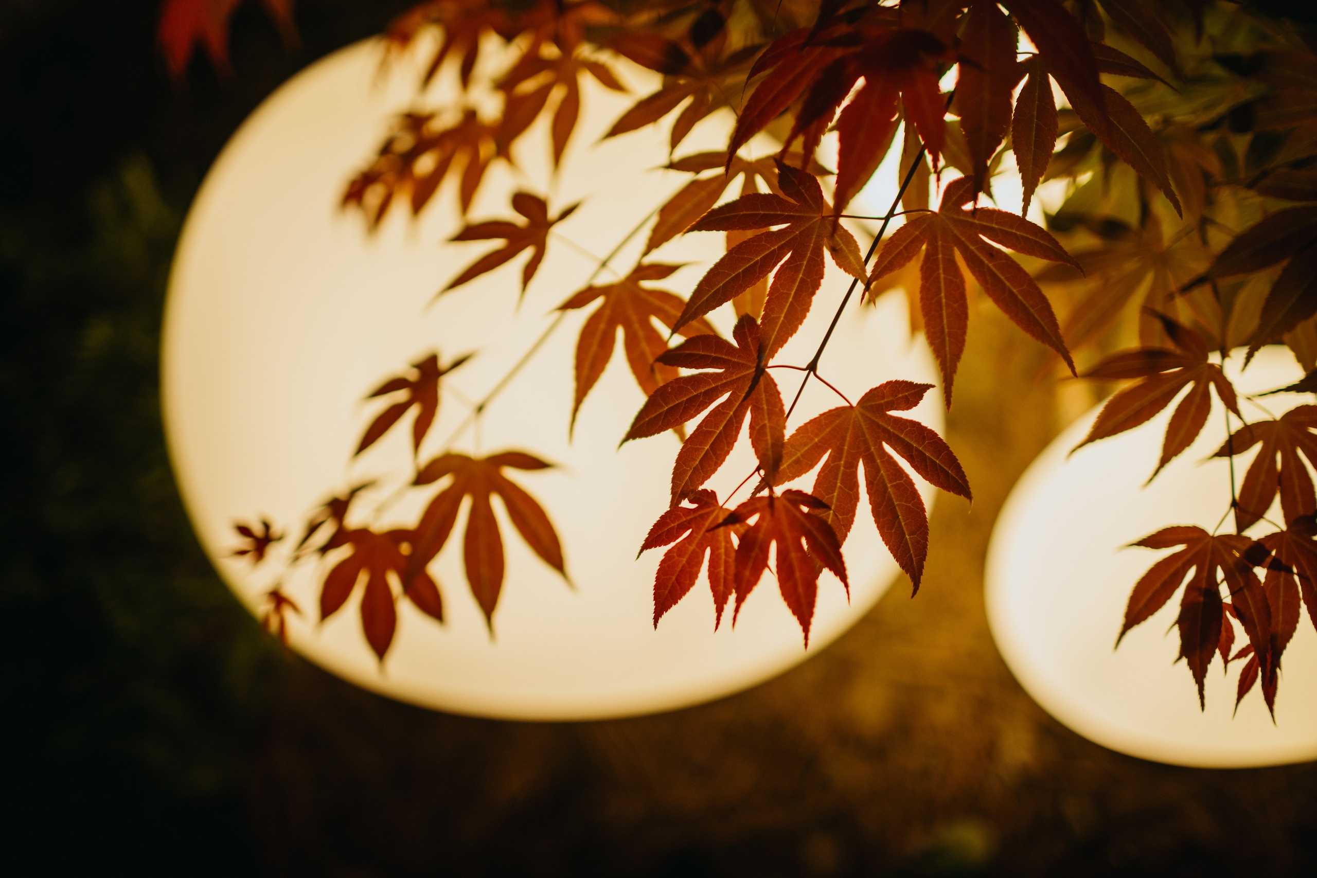 Свадьба Андрея и Елизаветы — Свадебный фотограф Бишкек, Кыргызстан | Оксана Шувалова фотограф — Wedding Photographer Bishkek, Kyrgyzstan. Фотограф в Бишкеке Оксана Шувалова