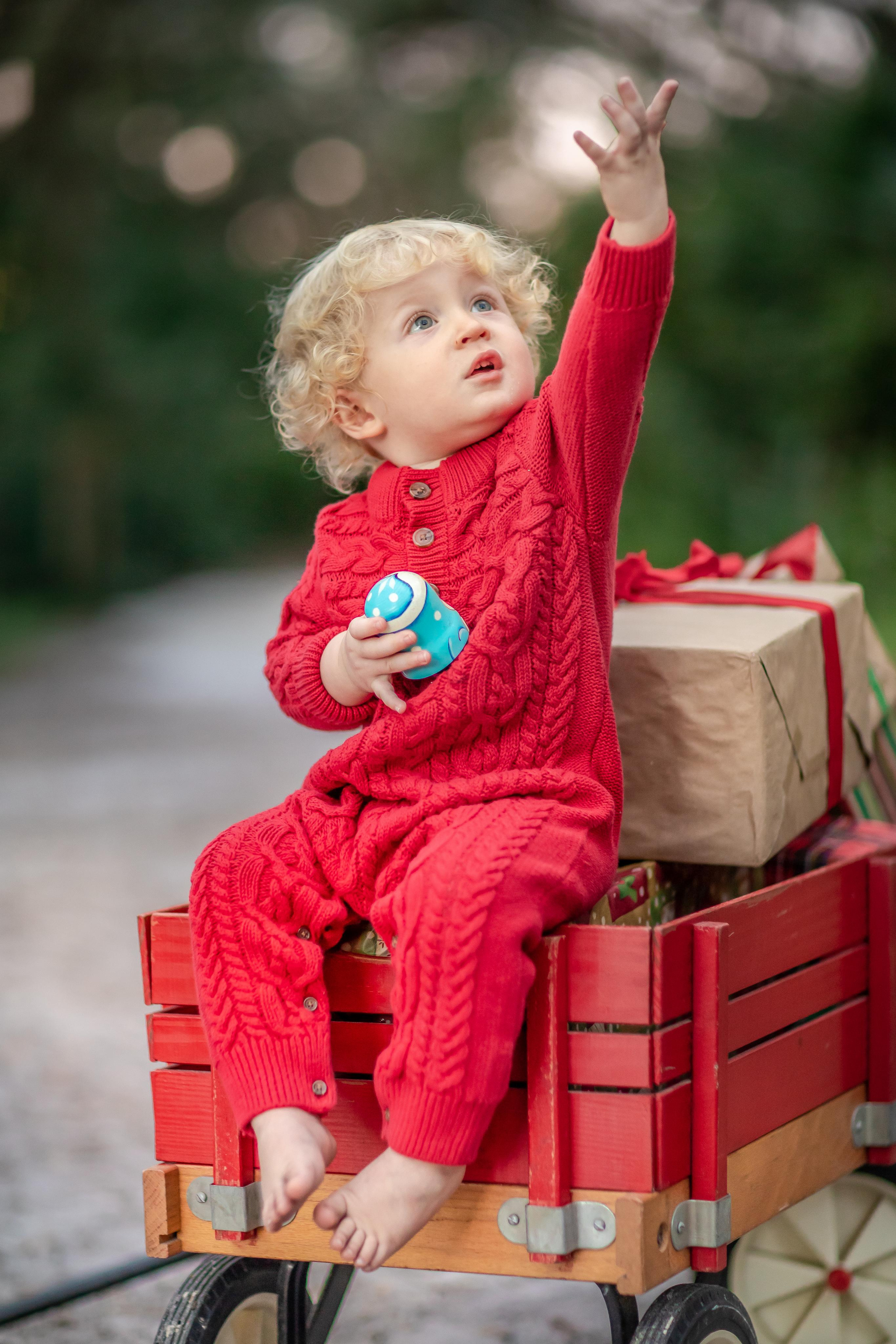 Leon Christmas Mini. Family and Event photographer in Homestead and Miami areas of Florida