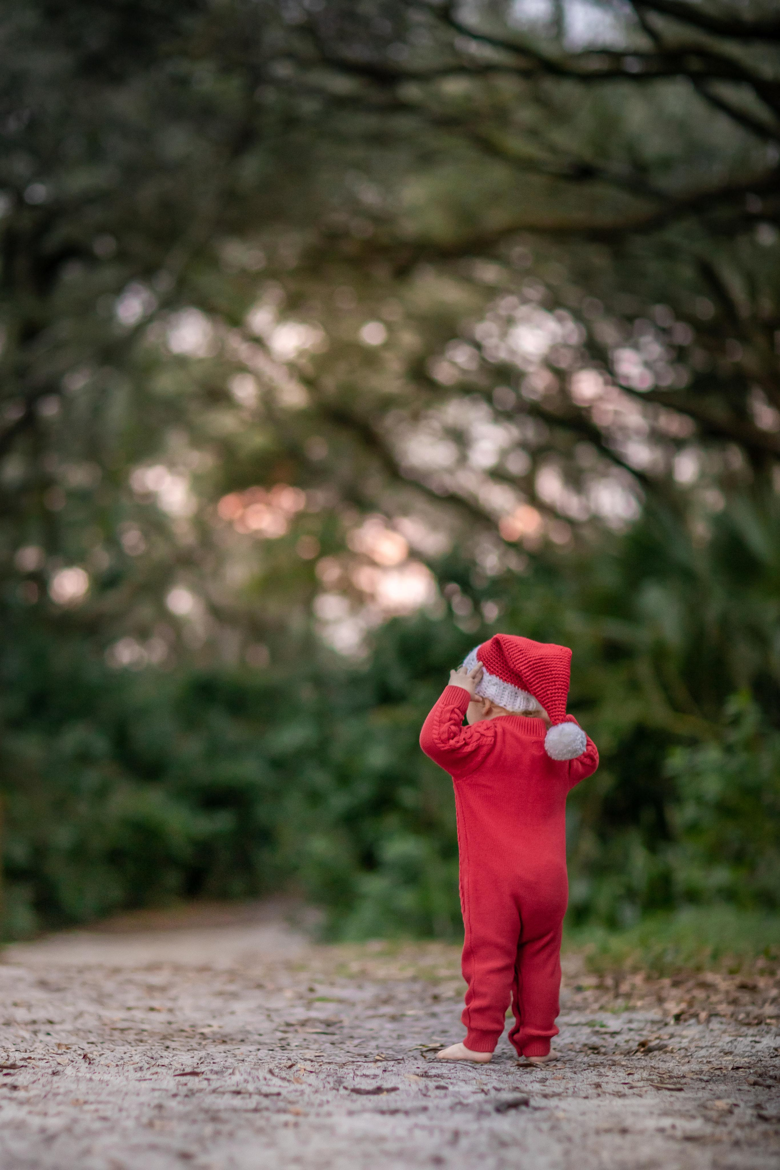 Leon Christmas Mini. Family and Event photographer in Homestead and Miami areas of Florida