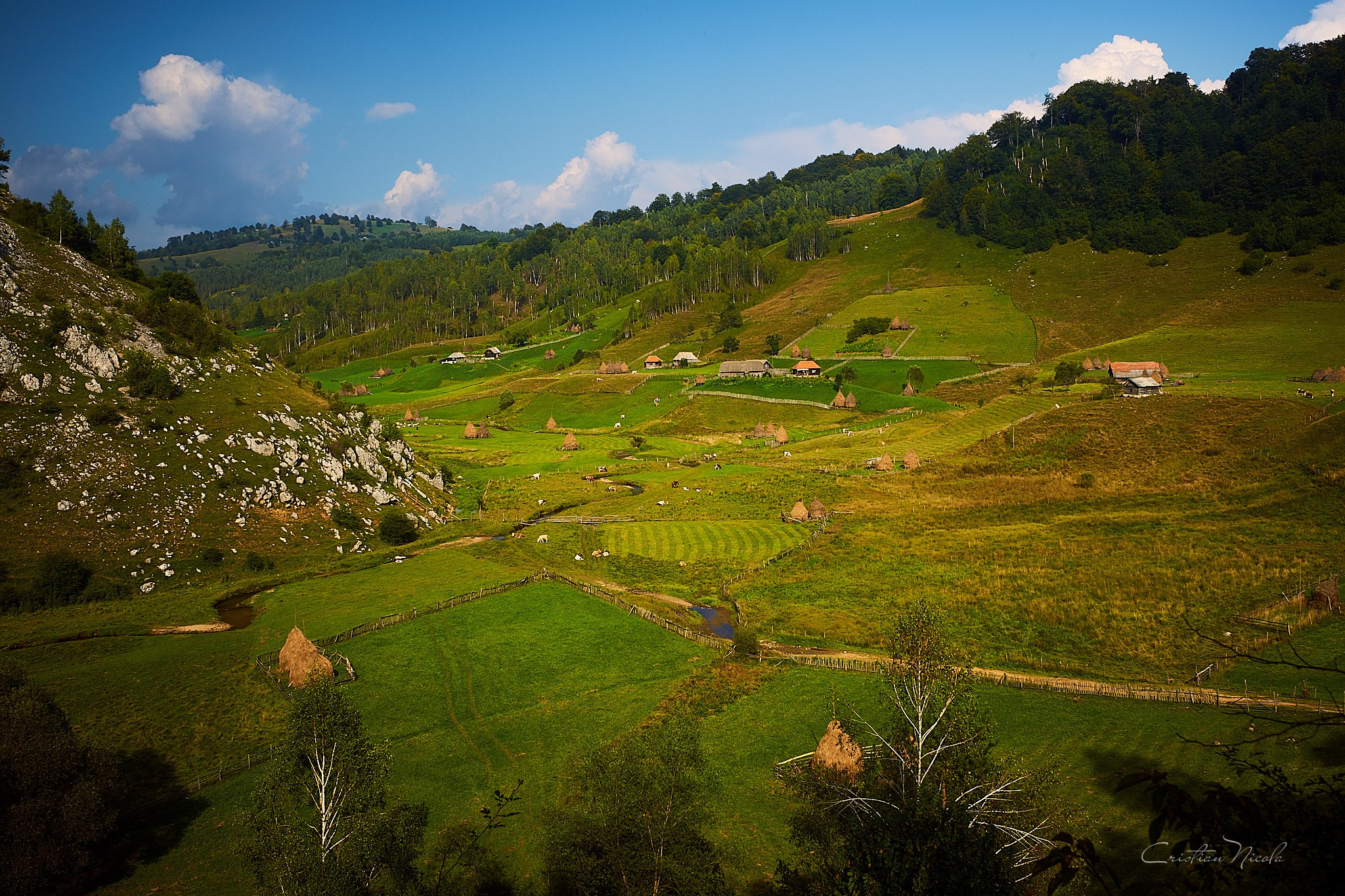 Fundătura Ponorului, jud. Humedoara. Pagina principală