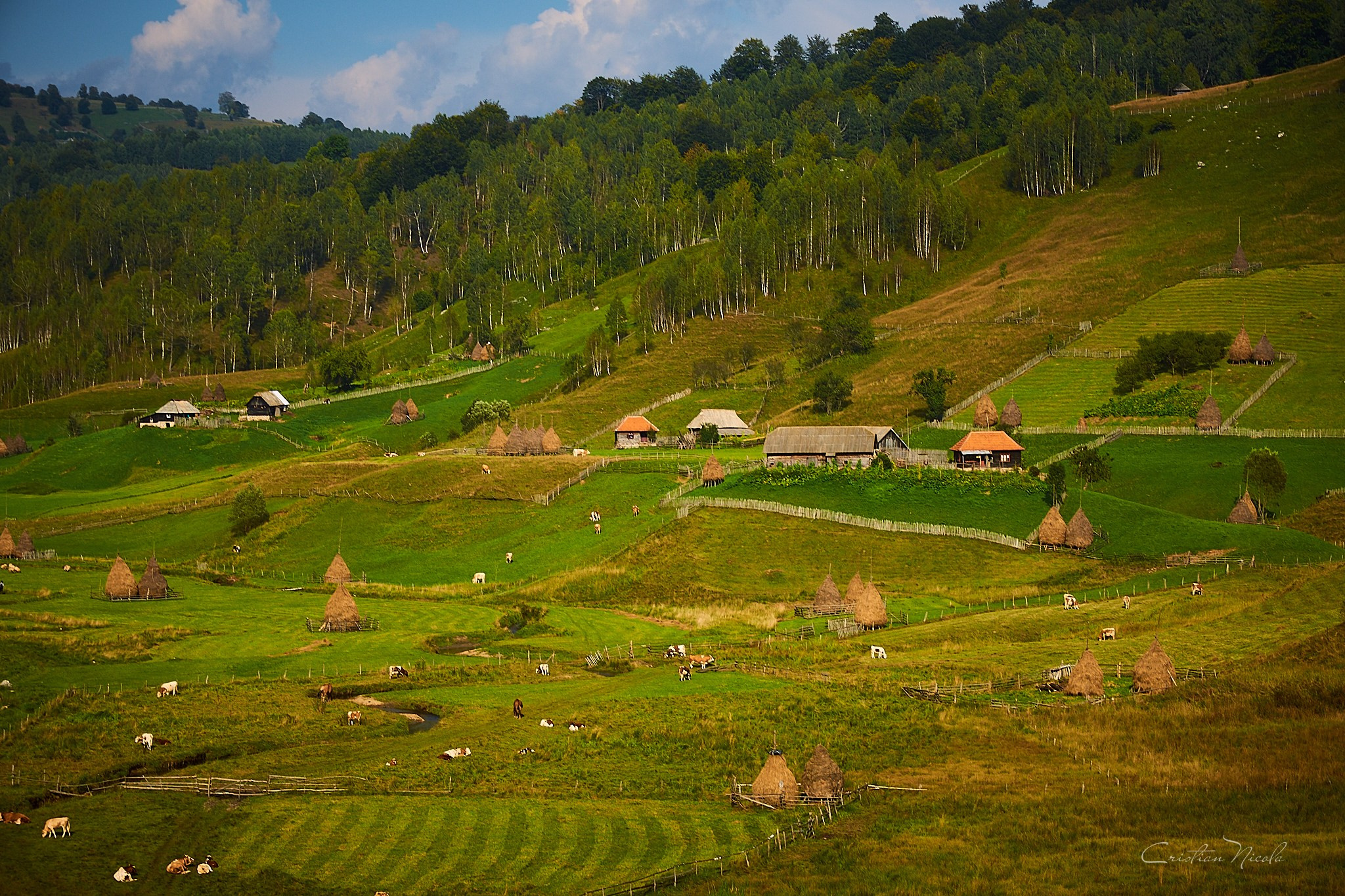 Fundătura Ponorului, jud. Humedoara. Pagina principală