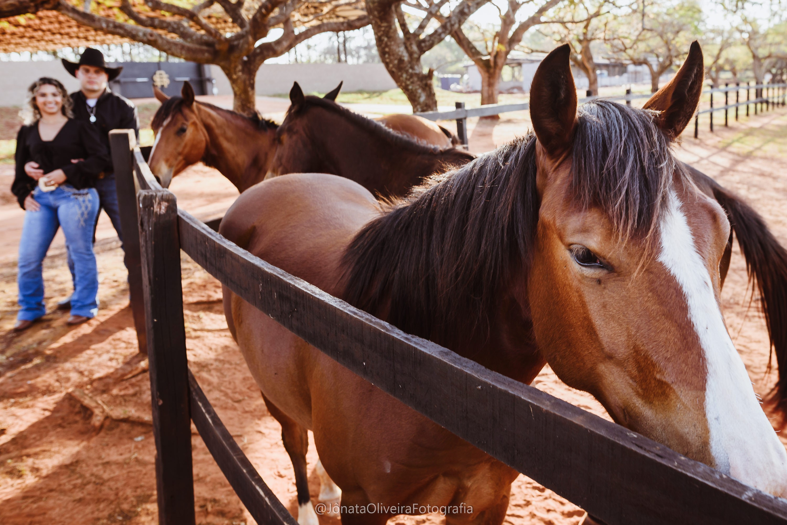 Pre Wedding Luérica e Vinicius. Fotografia de casamentos e ensaios em avaré Jônata Oliveira