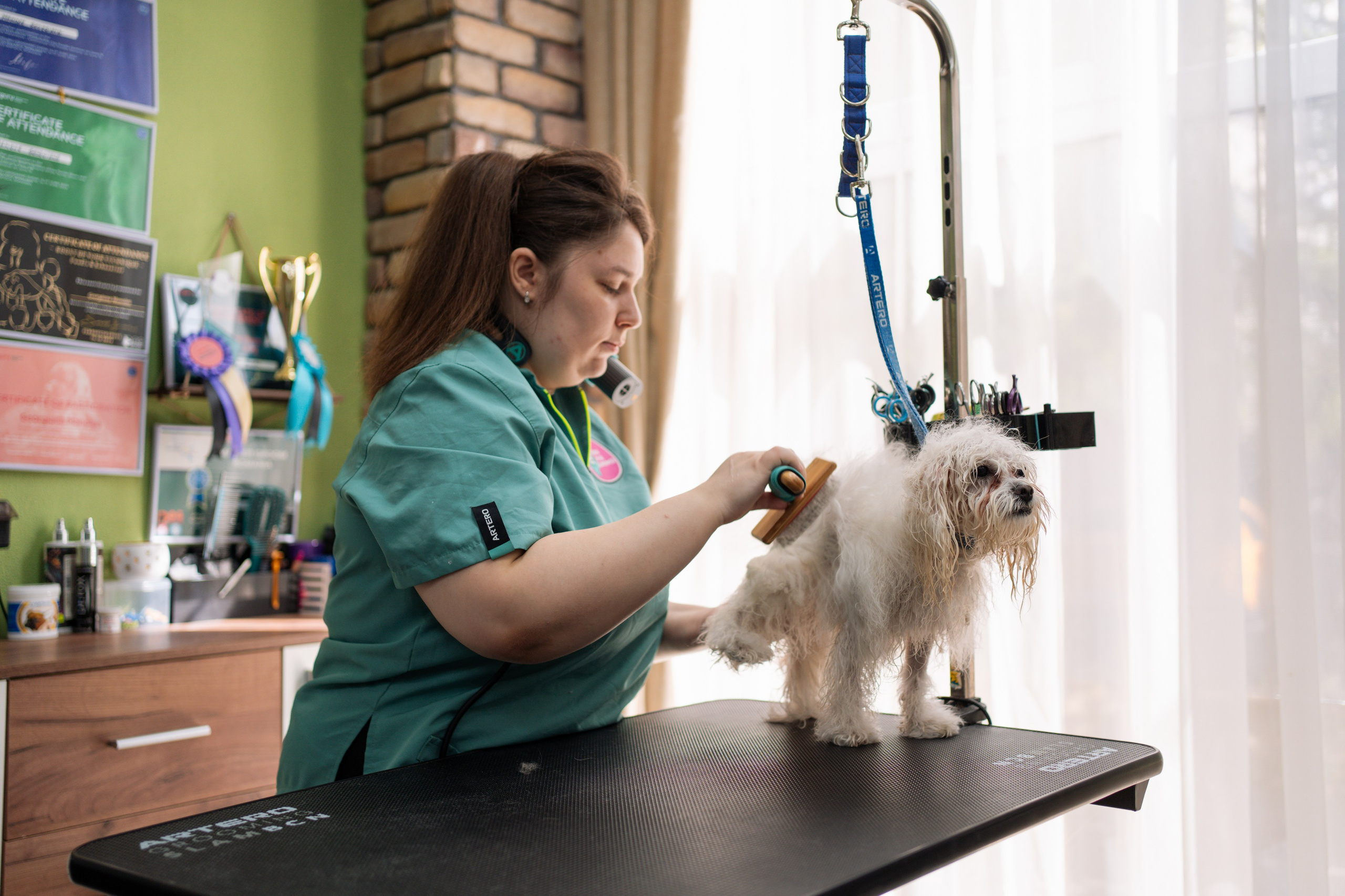 PetGroom Timisoara. Cozac Cristian Photographer