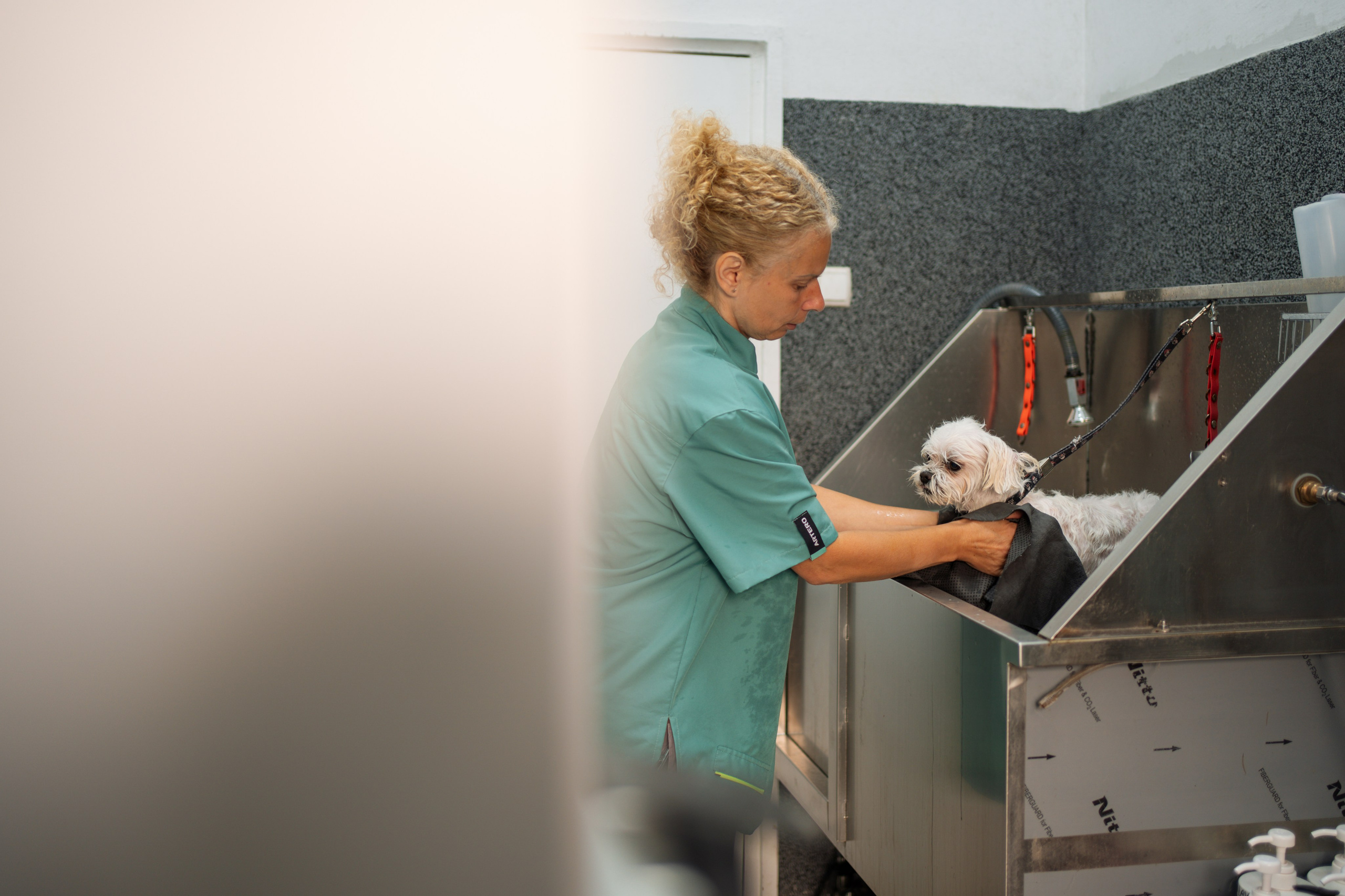 PetGroom Timisoara. Cozac Cristian Photographer