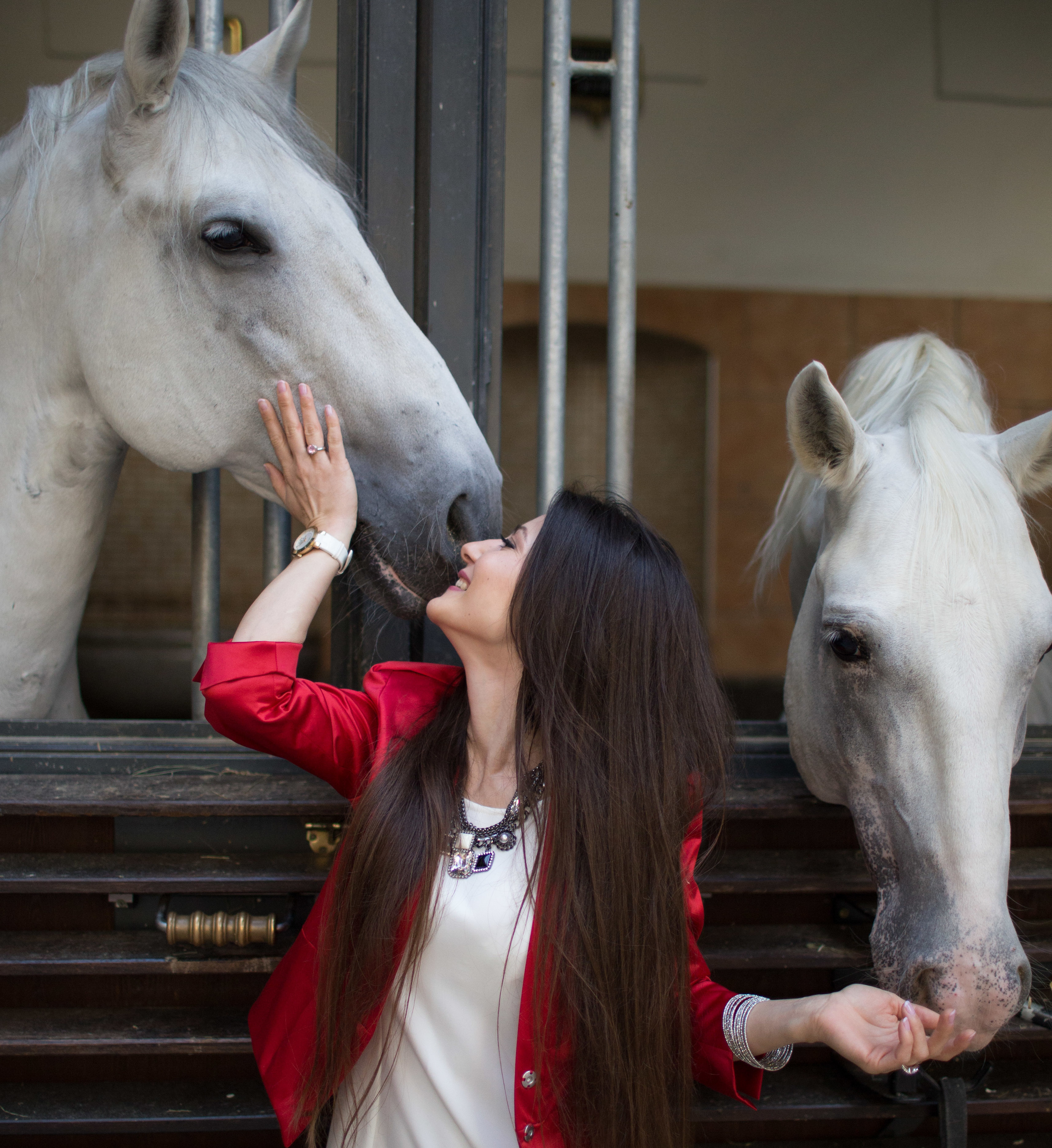 Portrait. Fotografen in Wien