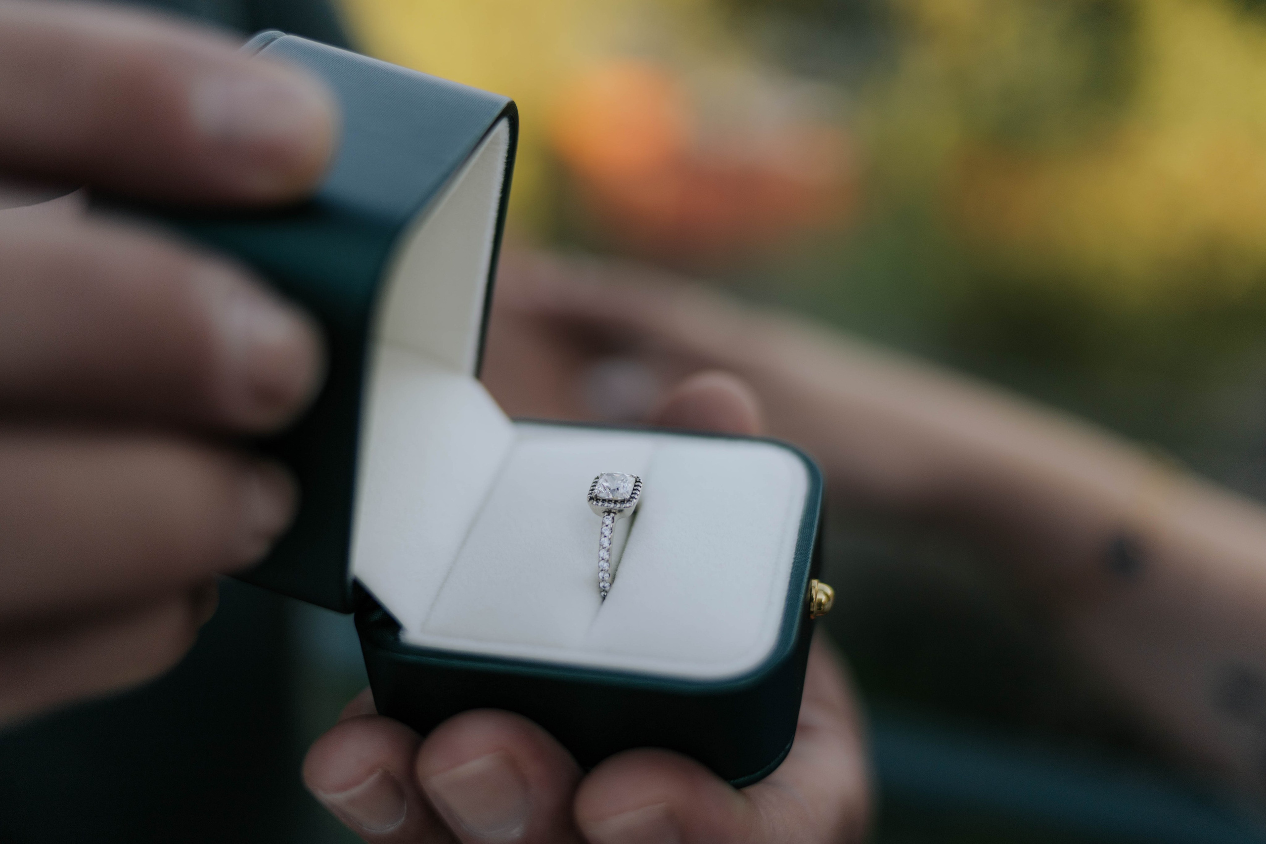 Wedding Proposal / Bruna & Sidnei. Blendo Philipe | Wedding & Portrait Photographer in Porto