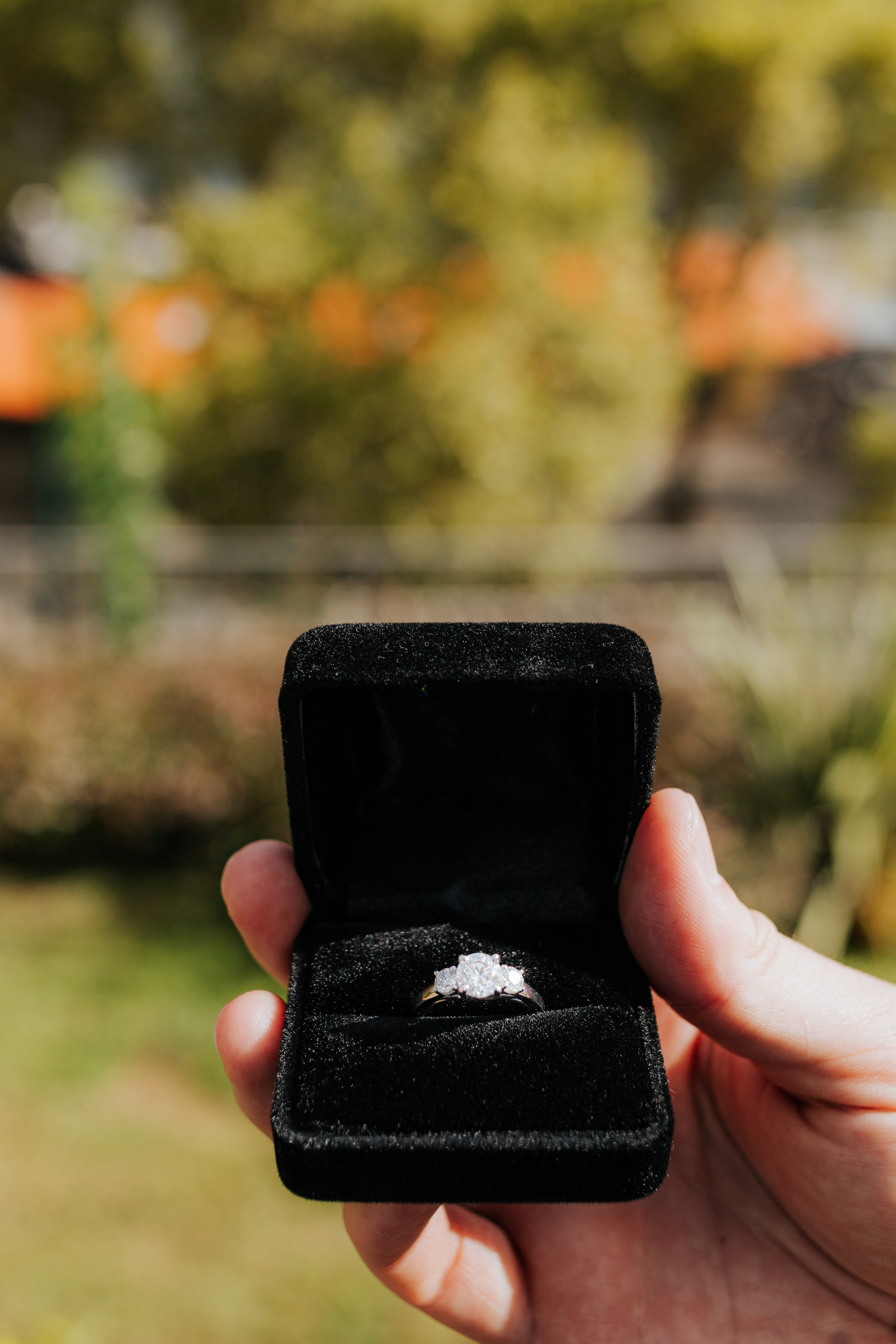 Wedding Proposal / Dylan & Kayleigh. Blendo Philipe | Wedding & Portrait Photographer in Porto