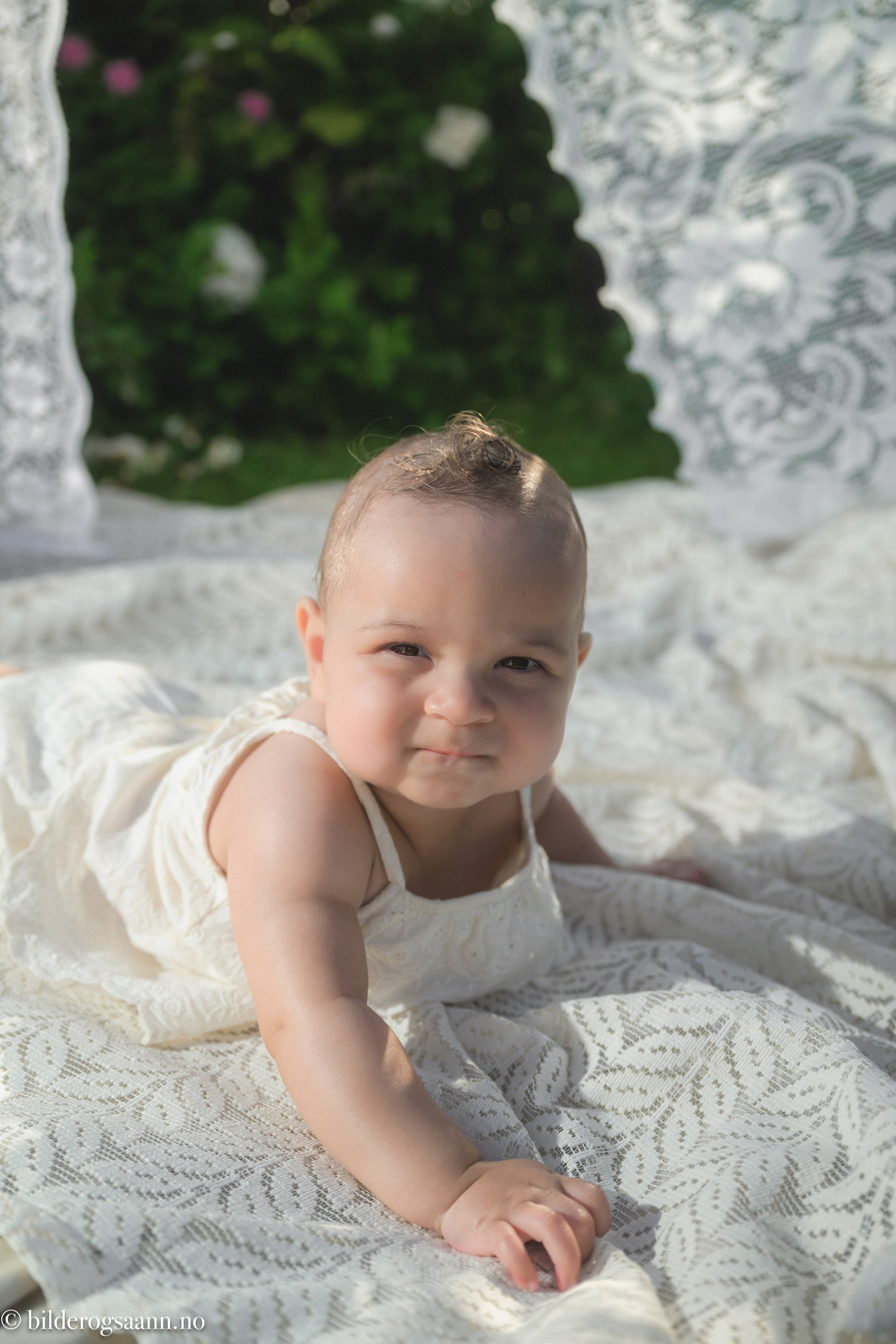 Barn- og familiefotografering. Familiefotograf i Narvik kommune