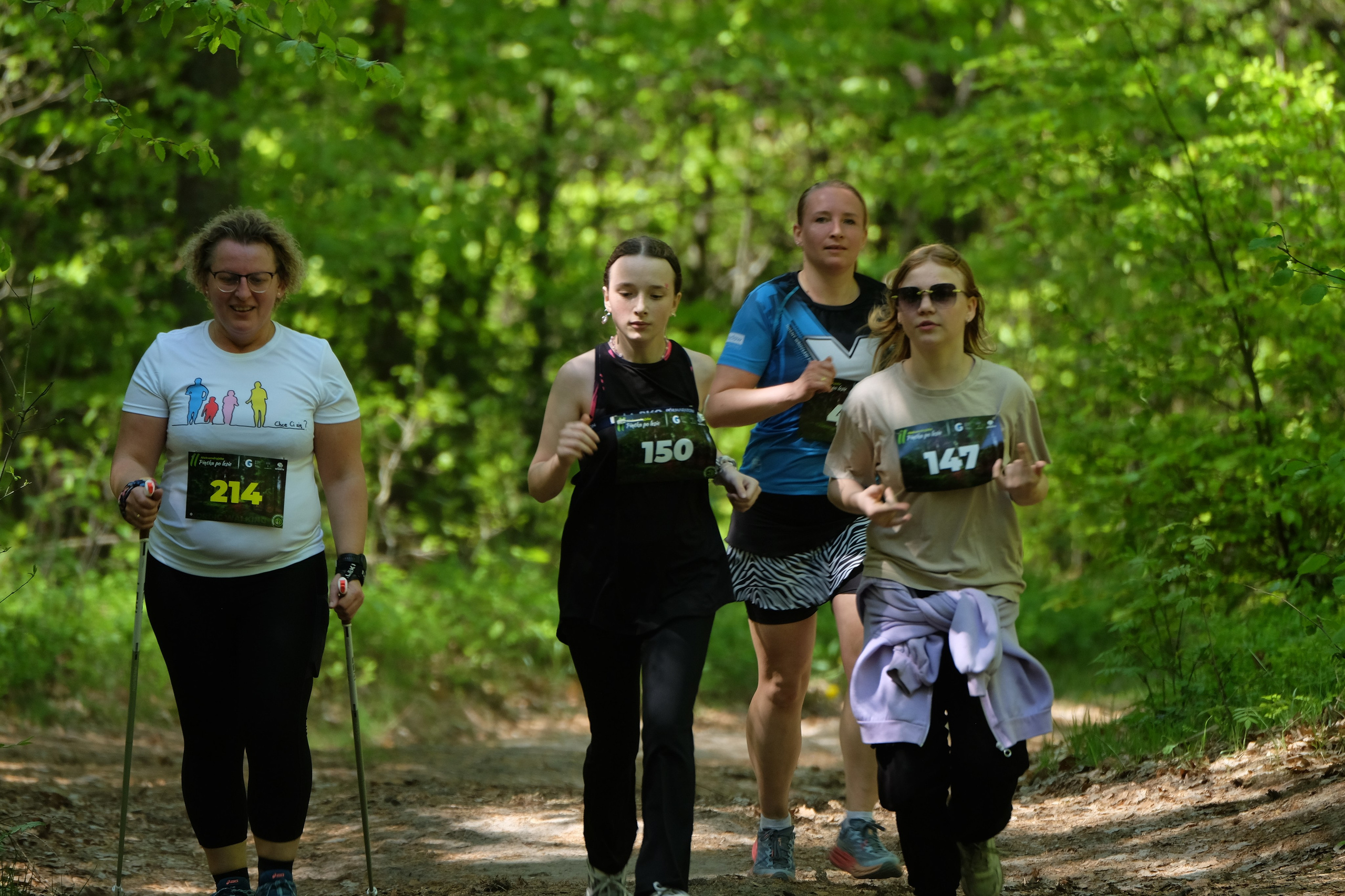 Aleksandryjska Piątka po lesie. Main