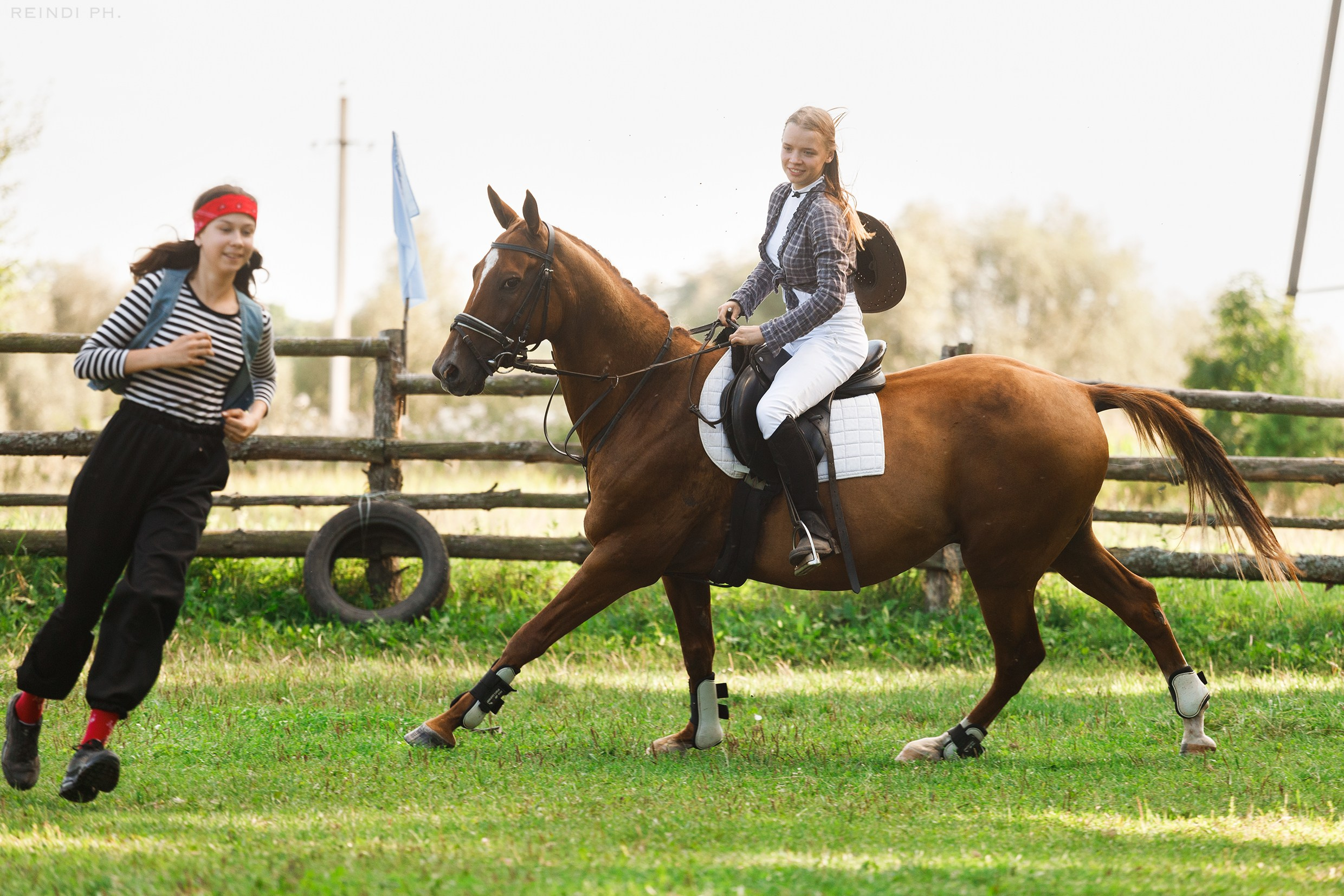 Horse show in the village. Kaja | fotograf we Wrocławiu | ludzie i psy