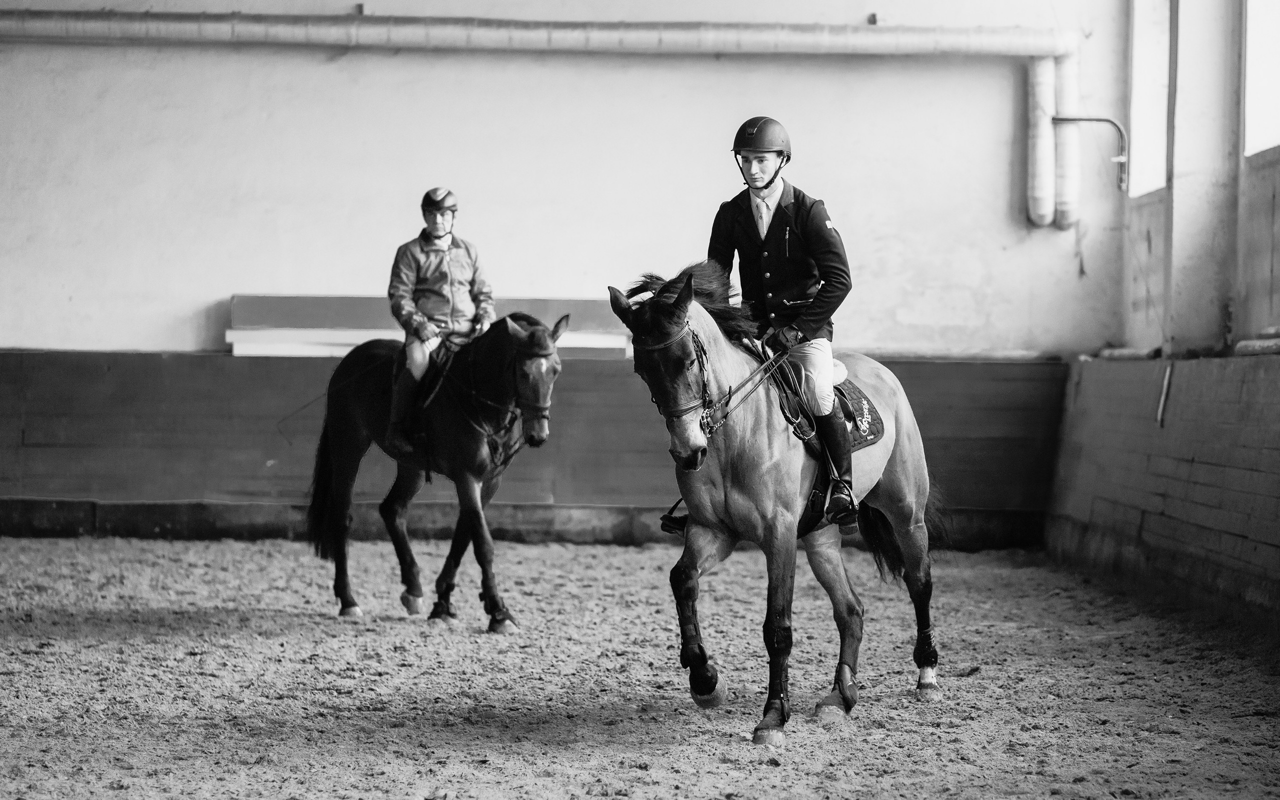 Winter show jumping in «Progress». Kaja | fotograf we Wrocławiu | ludzie i psy