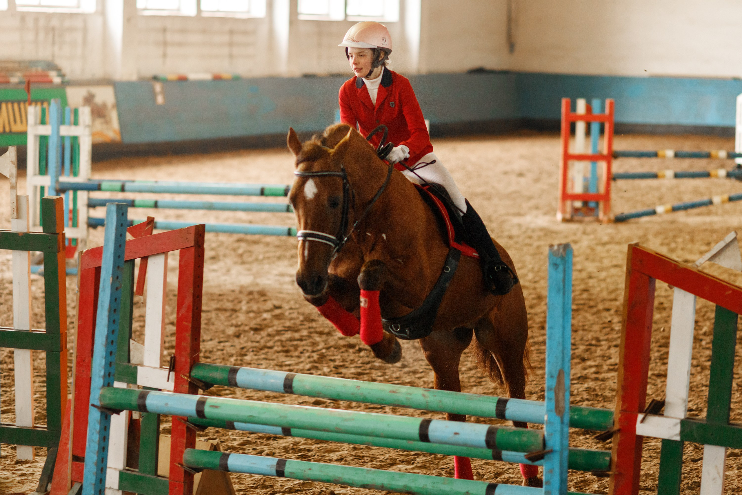 Winter show jumping in «Progress». Kaja | fotograf we Wrocławiu | ludzie i psy