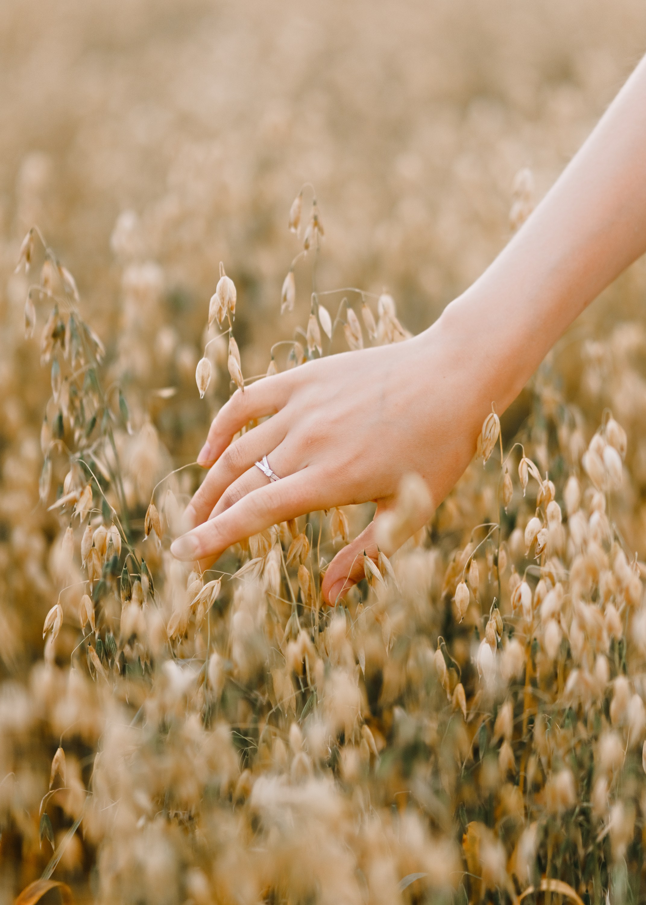 Katya | tenderness in the field. Kaja | fotograf psów we Wrocławiu