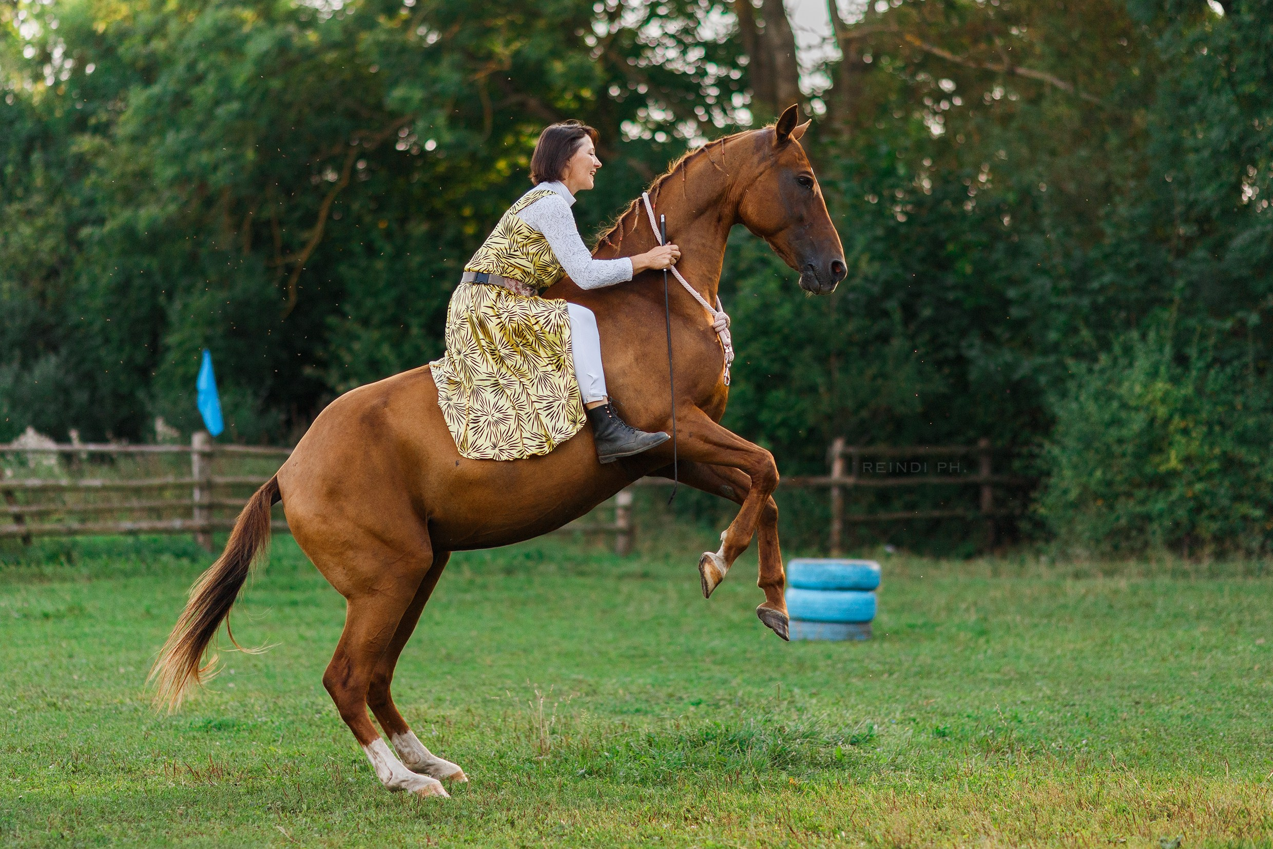 Horse show in the village. Kaja | fotograf we Wrocławiu | ludzie i psy