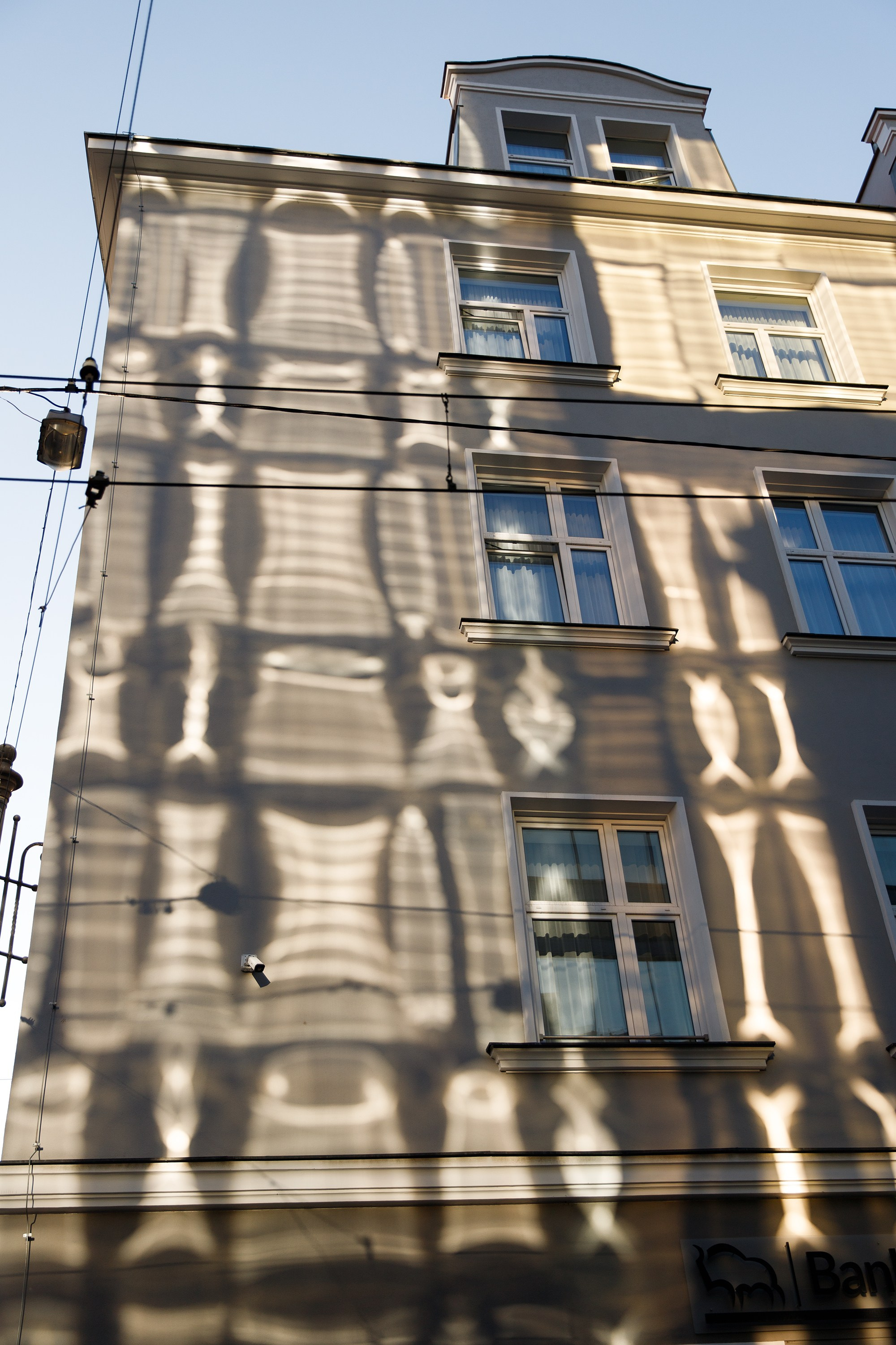 Wroclaw | the best ones. Kaja | fotograf psów we Wrocławiu