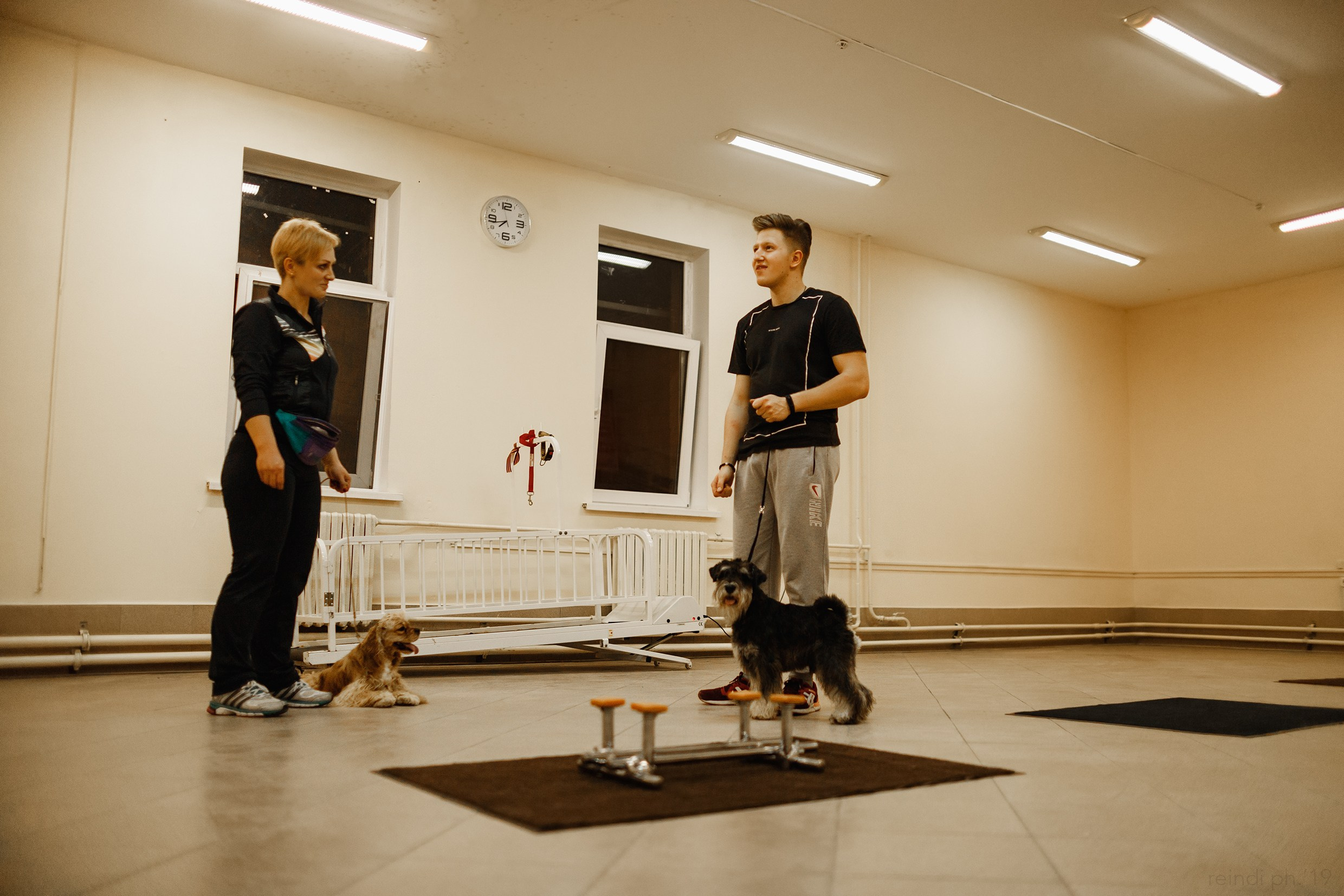 Dog handling hall. Kaja | fotograf we Wrocławiu | ludzie i psy