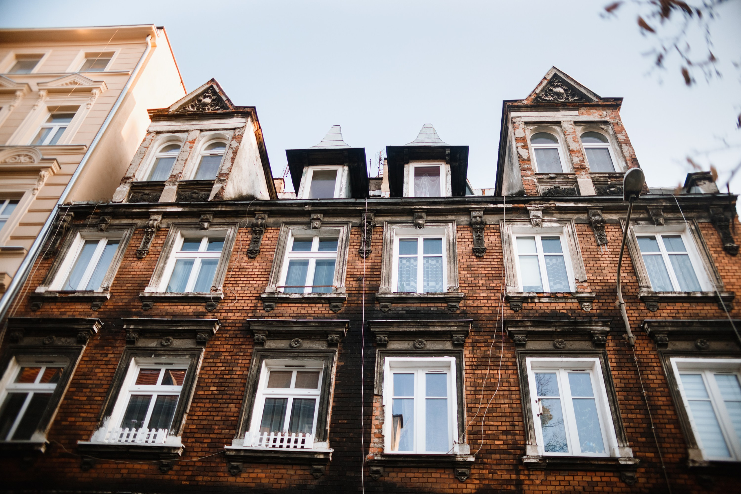 Nastya. Kaja | fotograf psów we Wrocławiu