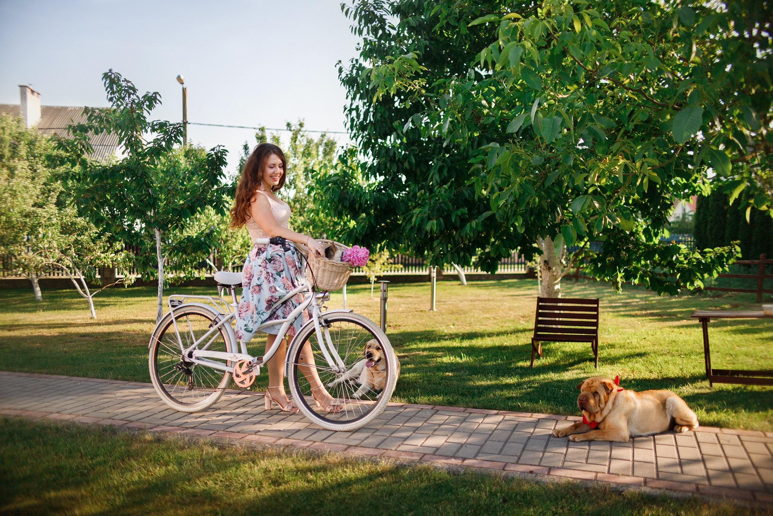 Nastya & Spark and Boss. Kaja | fotograf psów we Wrocławiu