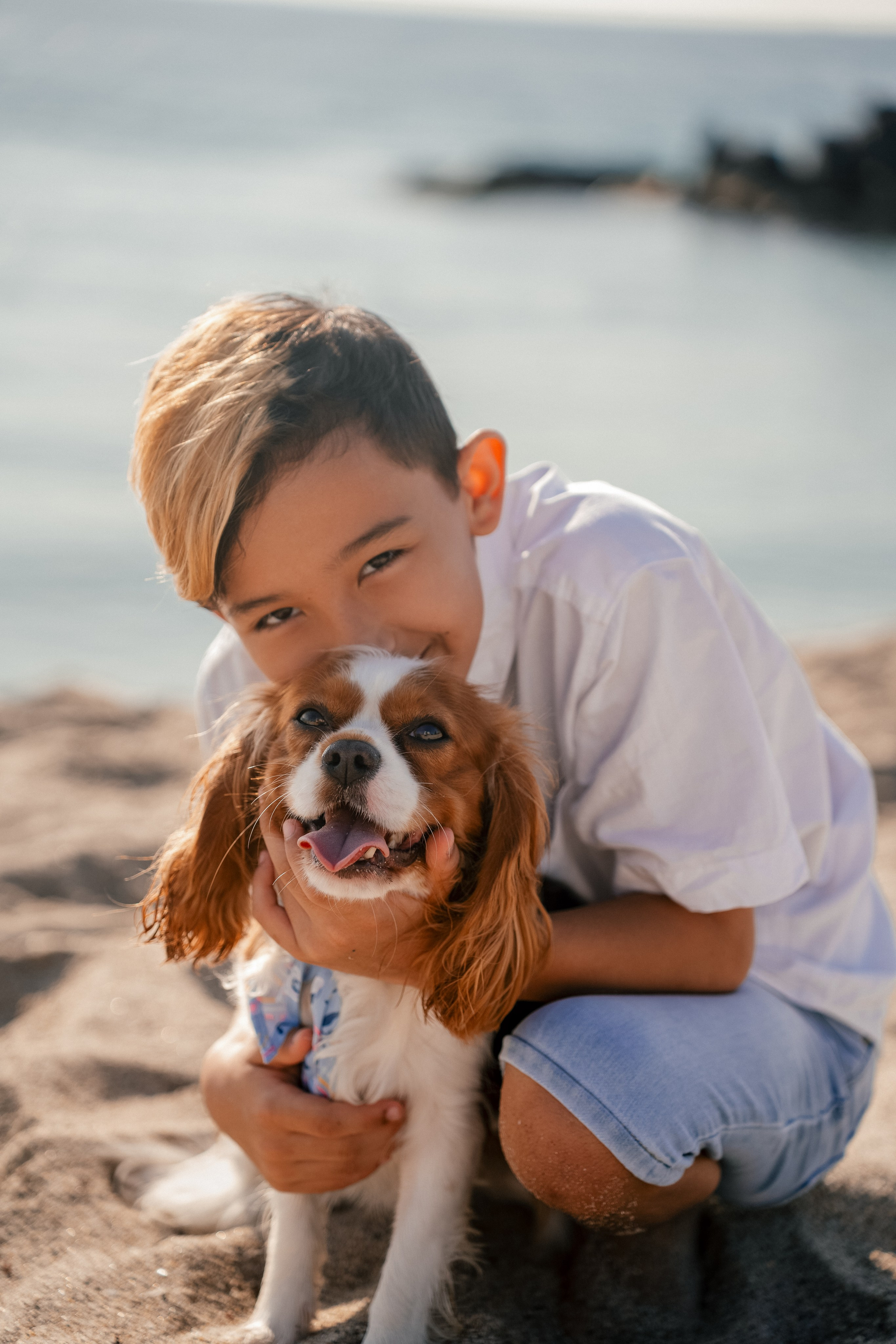 Balint’s Family. Main