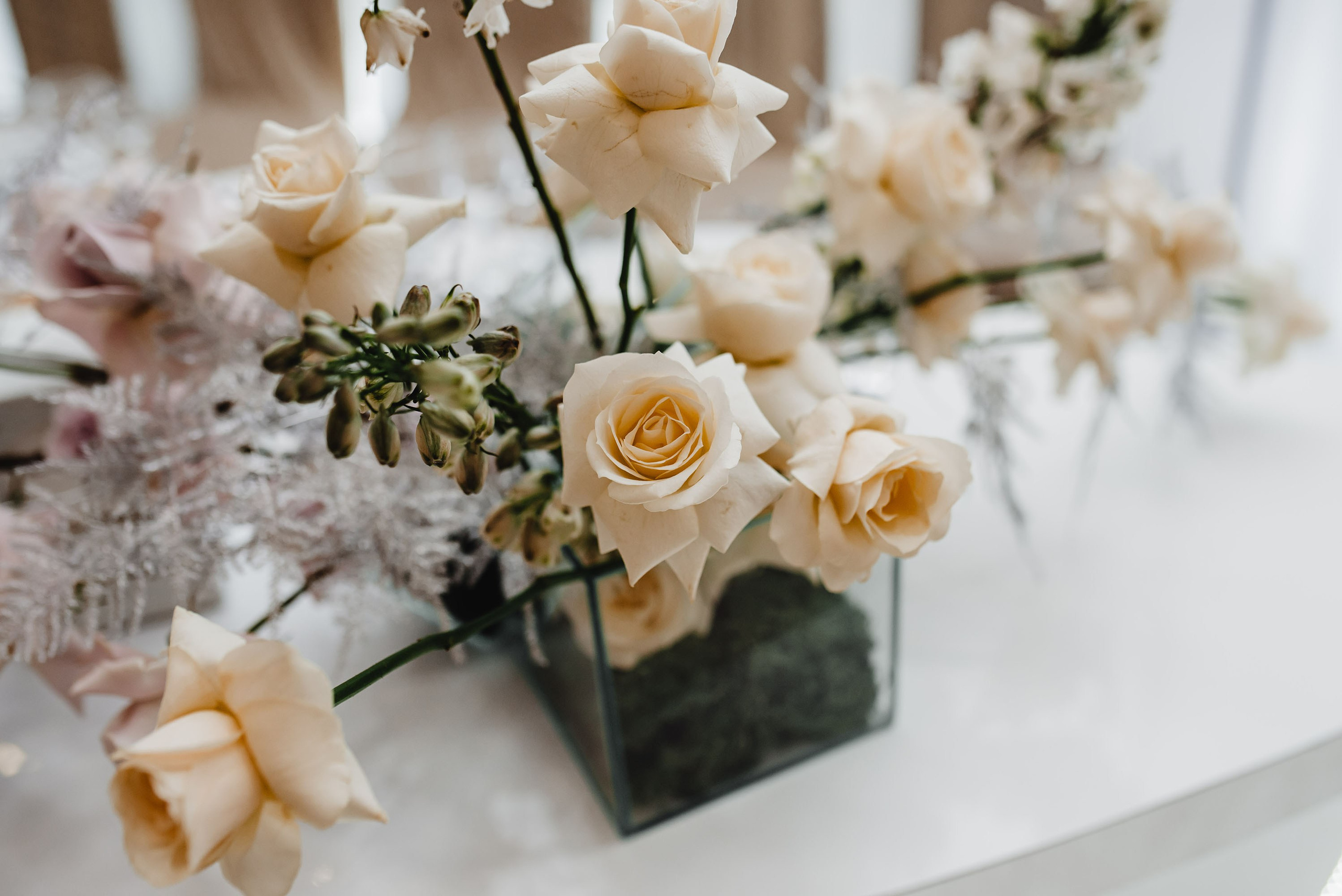 Весільна фотосесія V&T. Весільний та портретний фотограф Кизим Арсен