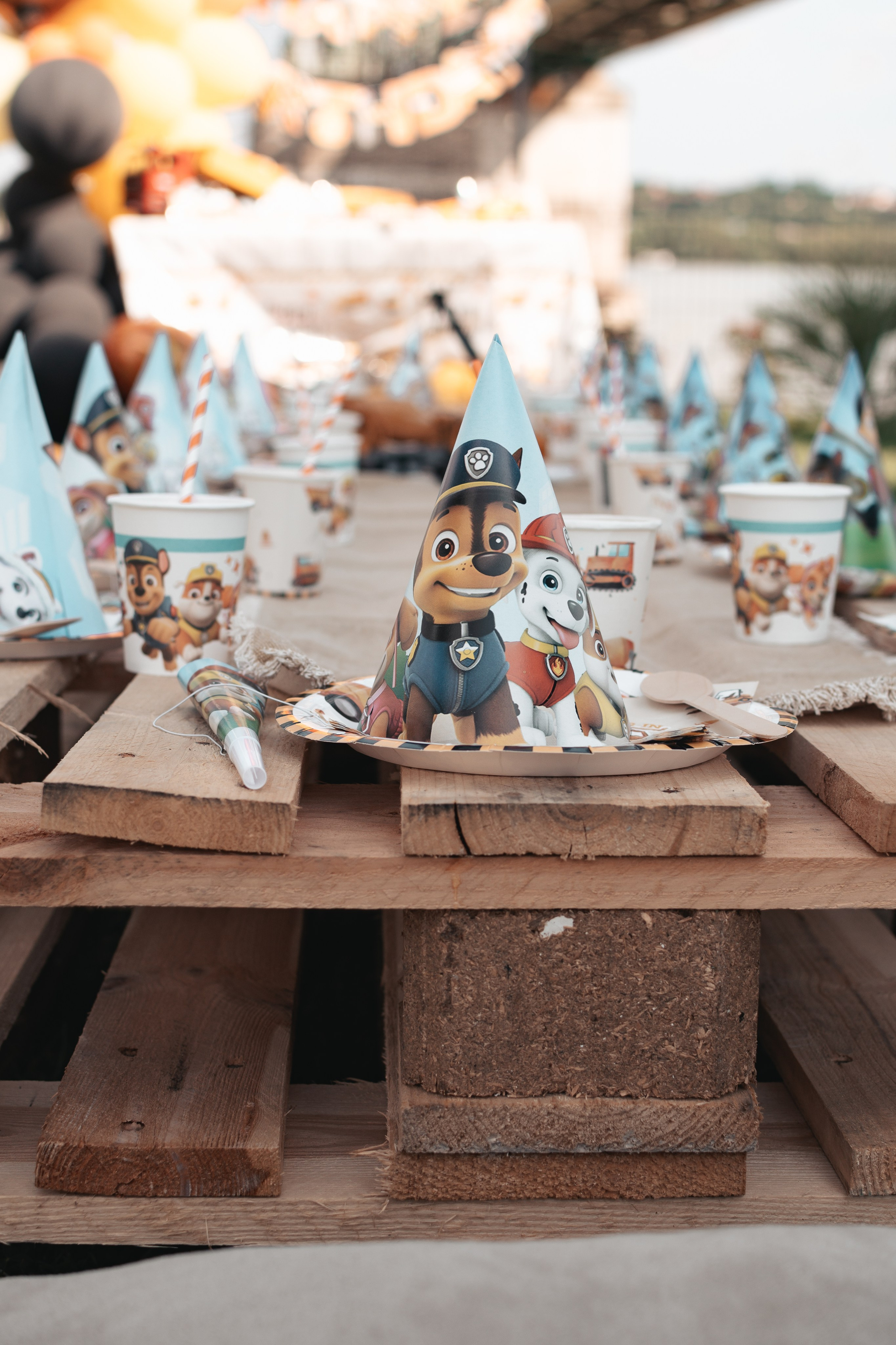 Jakov, rođendan. BambinaaPhotography